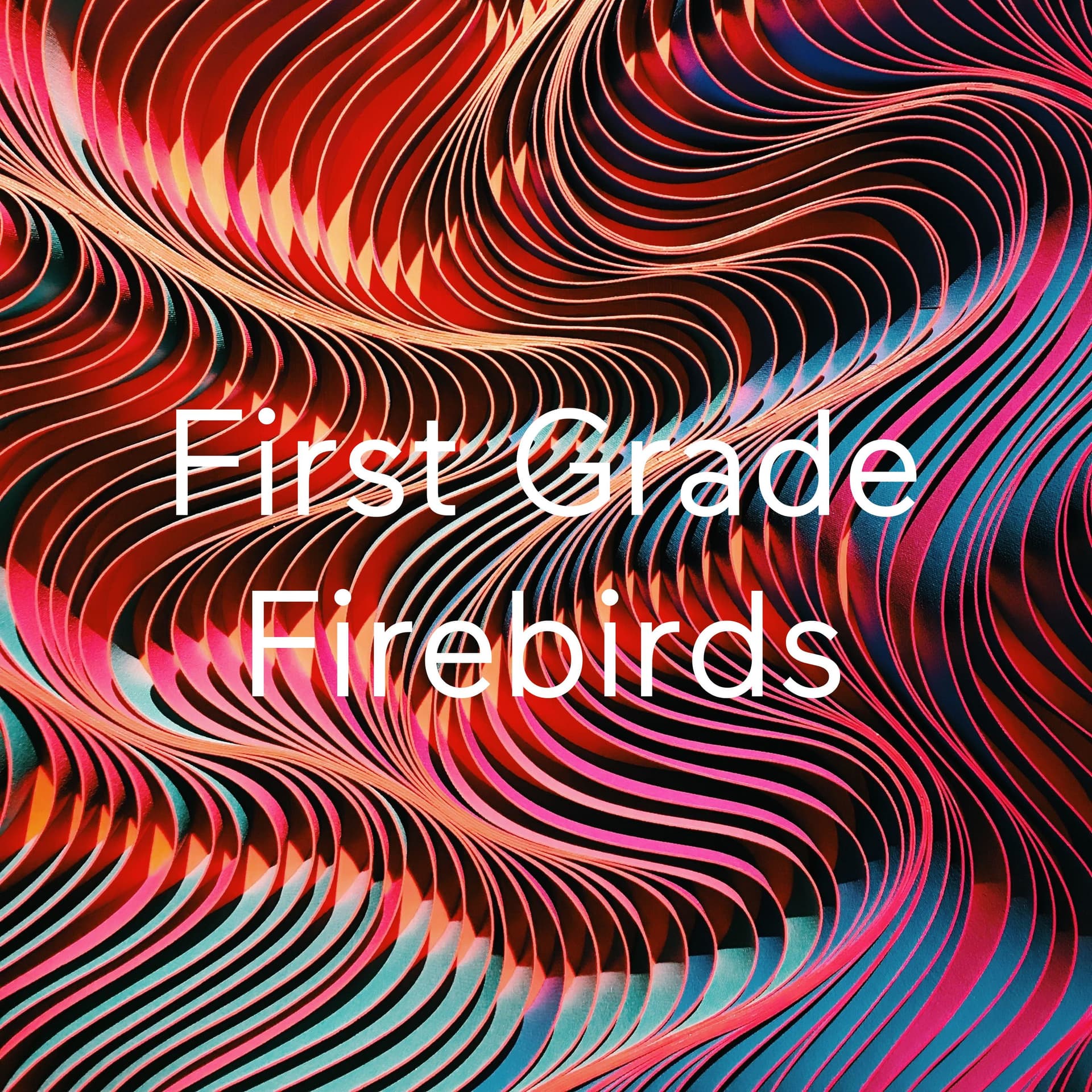 First Grade Firebirds