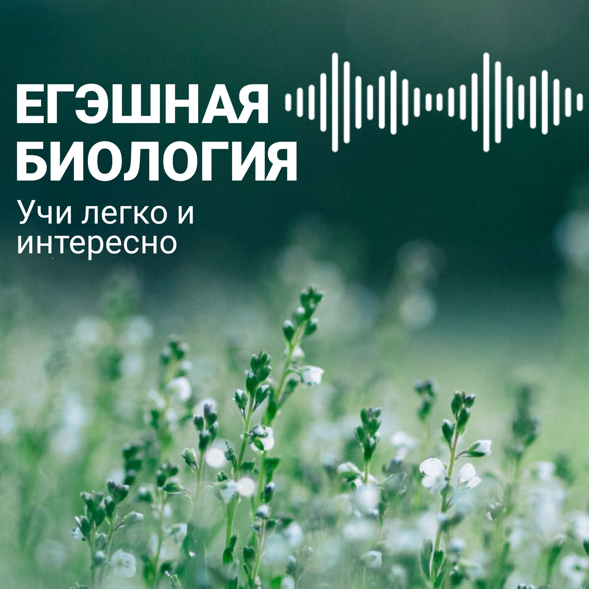 Егэшная биология - Podcasts