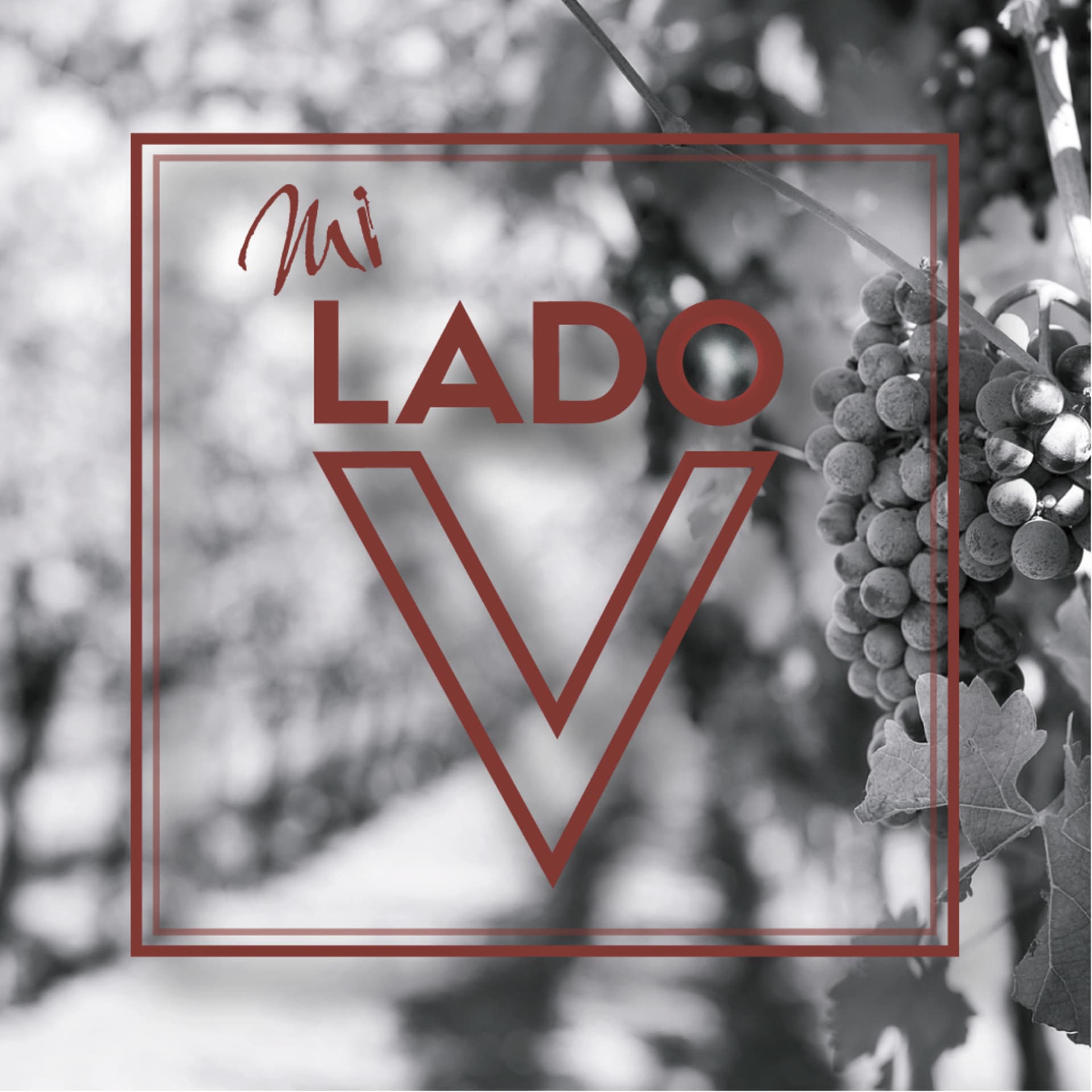 Mi Lado V - Podcasts