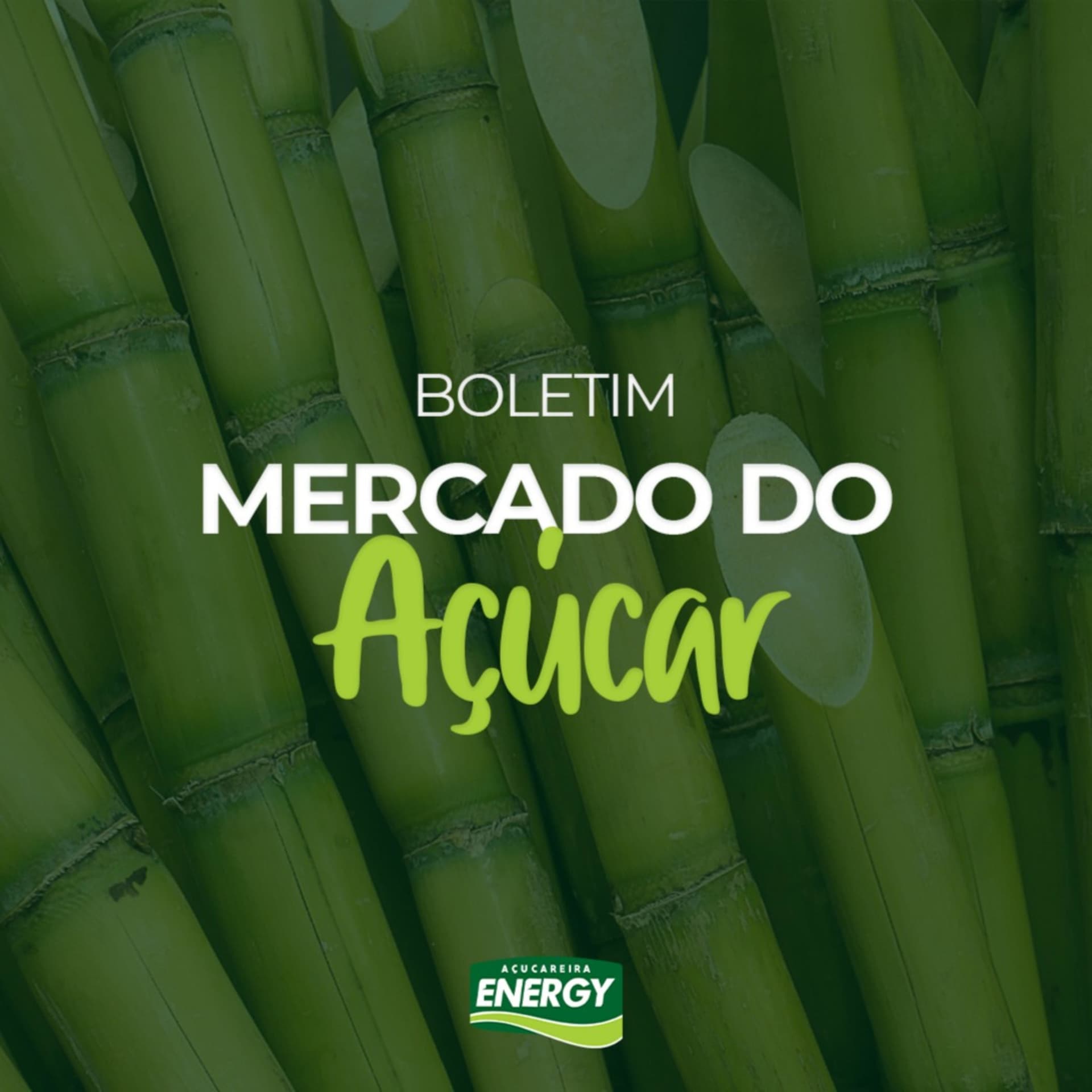 Boletim Mercado do Açúcar - Podcasts