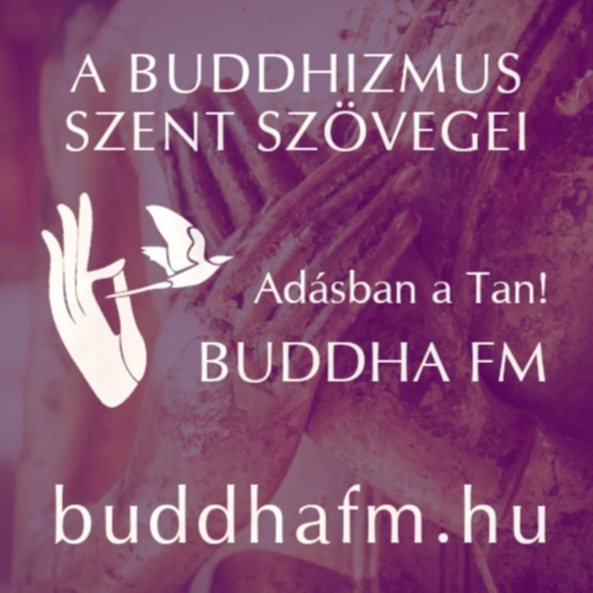 Üzenet az őzek ligetéből - Podcasts