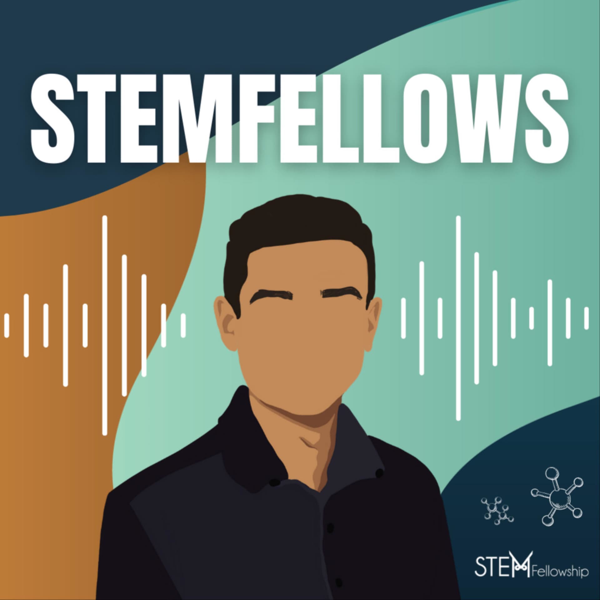 STEMFellows - Podcasts