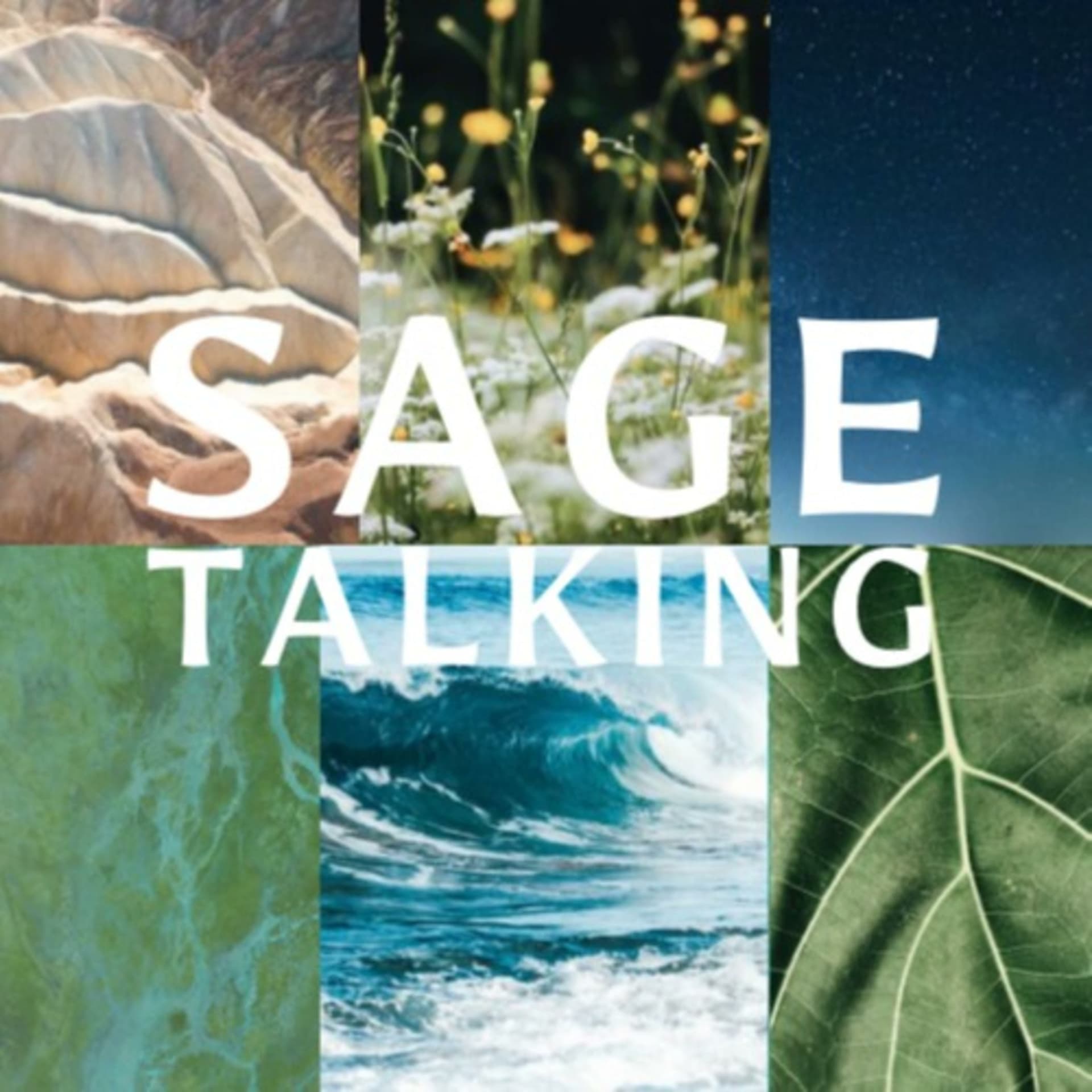 SageTalking - Podcasts