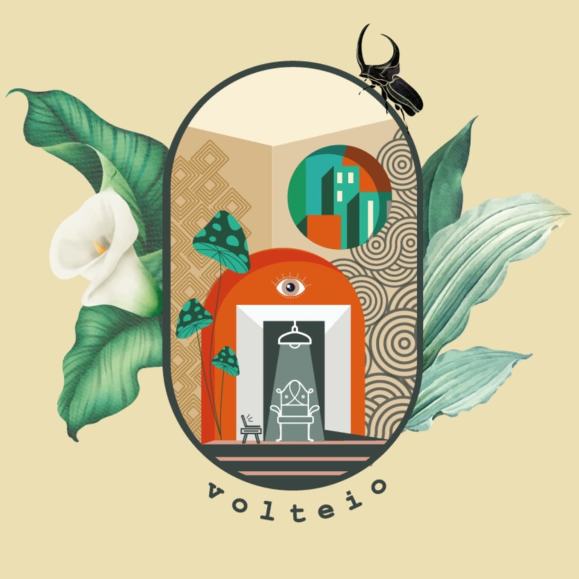 Volteio