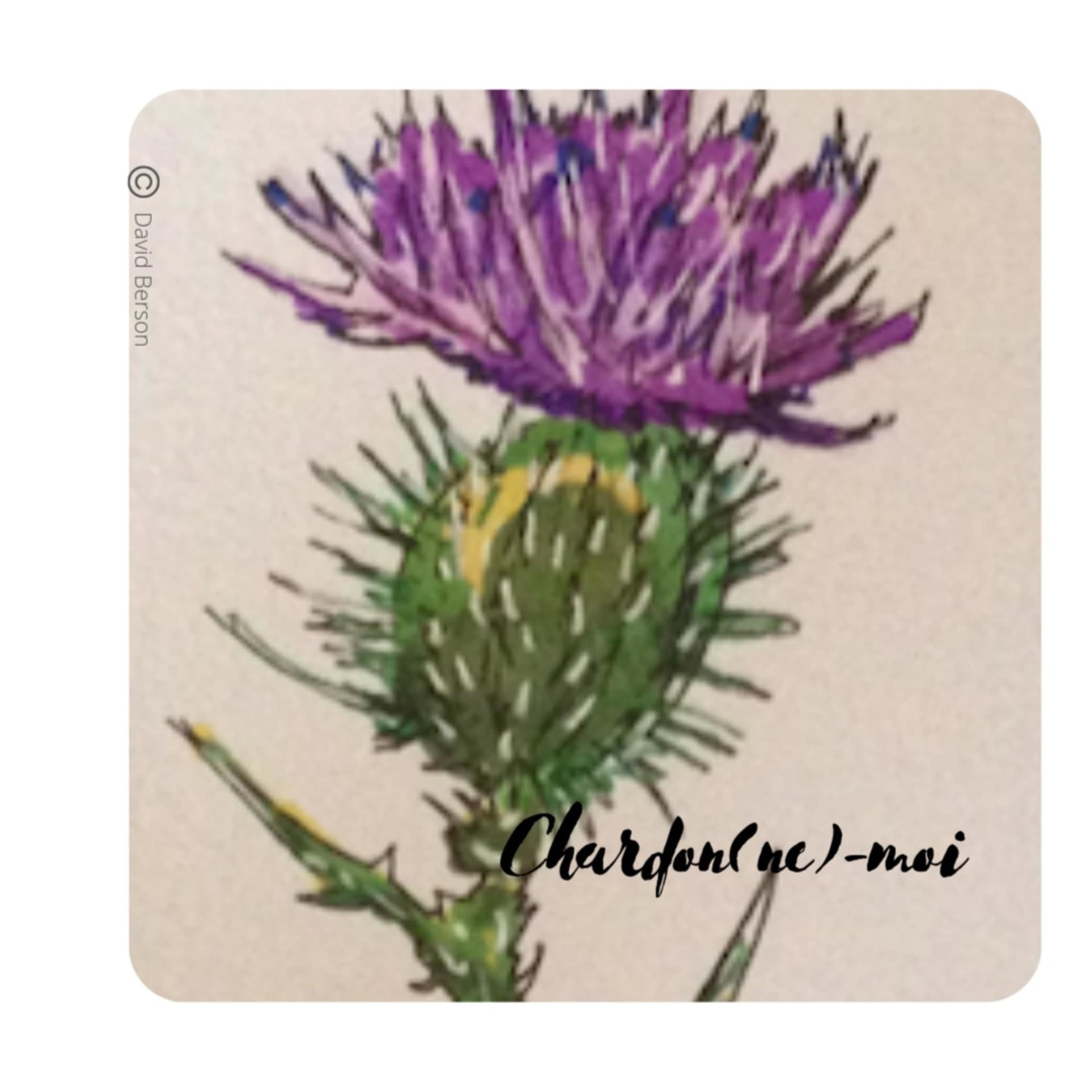 Chardon(ne) moi! - Podcasts