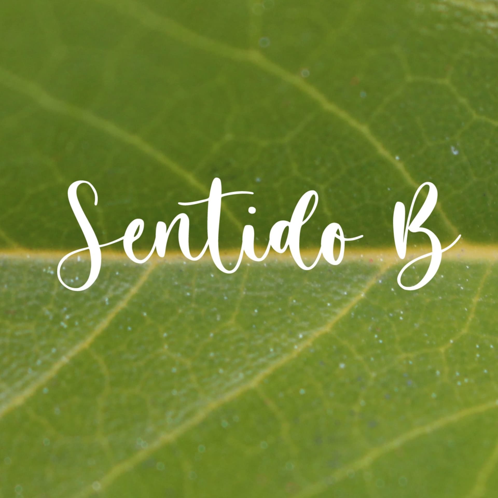 Sentido B - Podcasts
