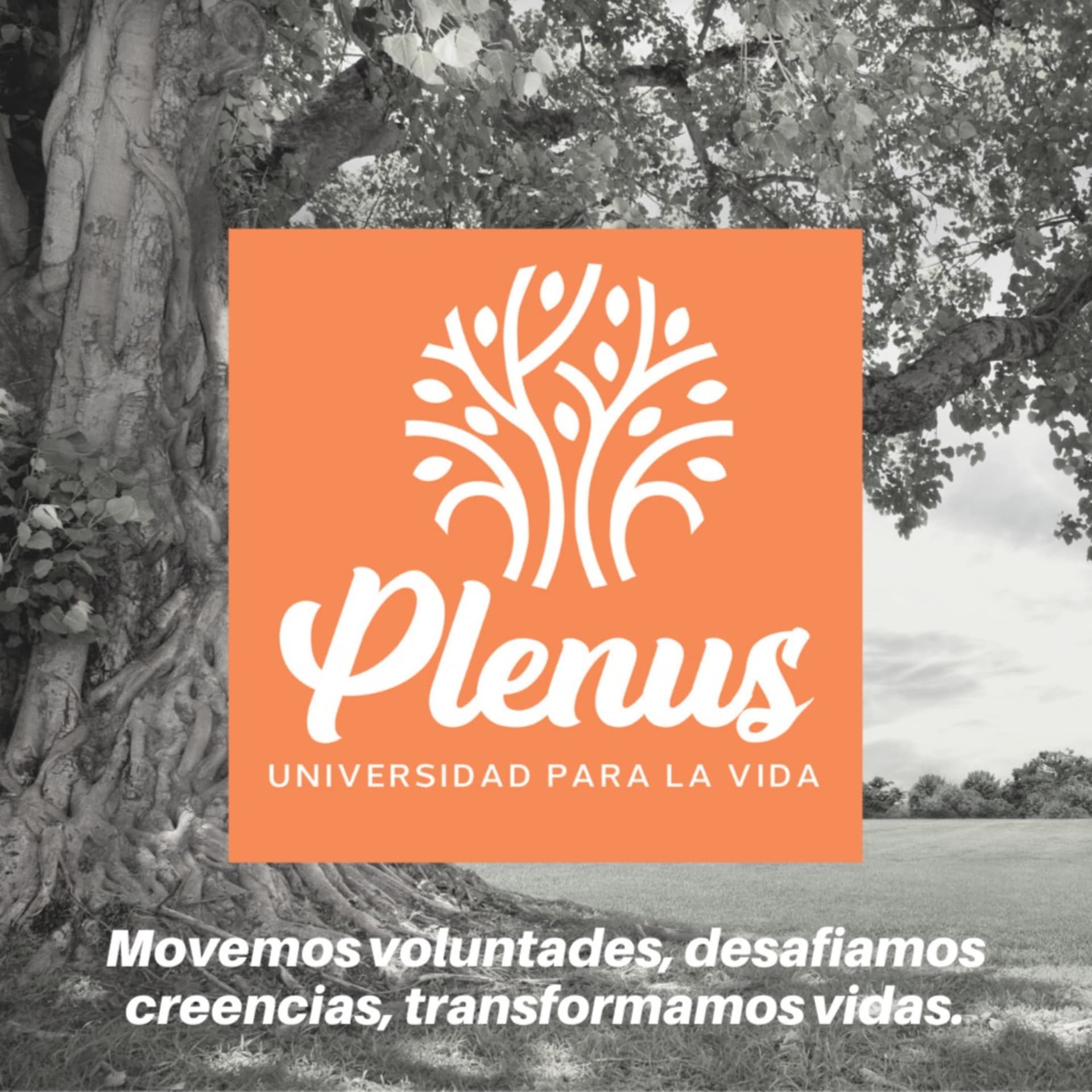 Plenus UPV - Podcasts