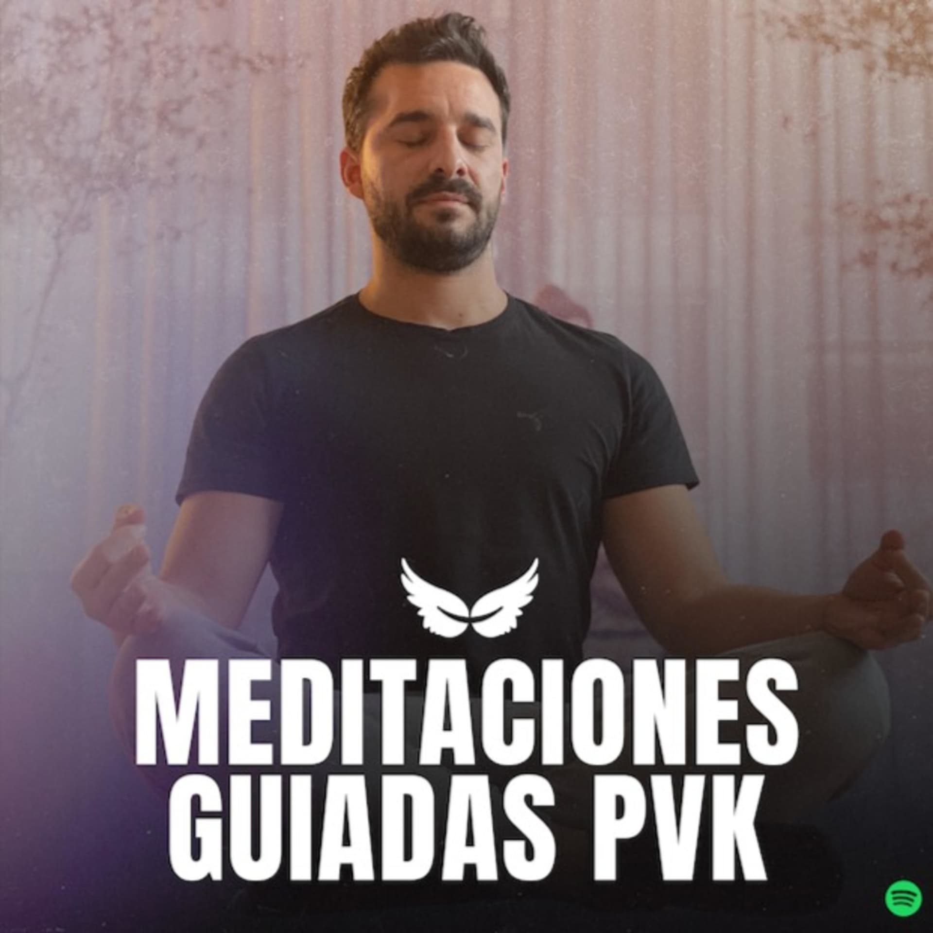 Meditaciones Guiadas | PVK - Podcasts