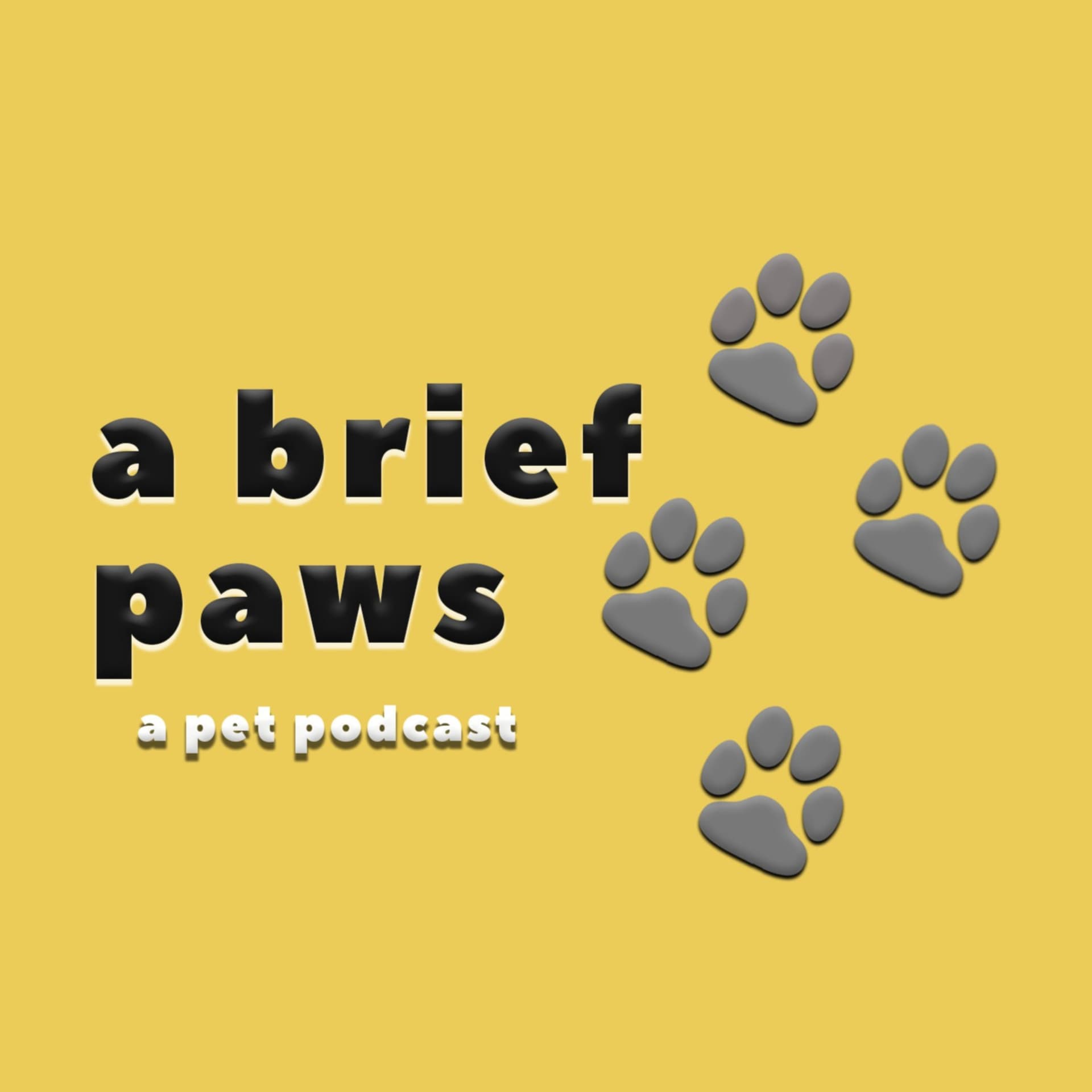 A Brief Paws: a pet podcast - Podcasts