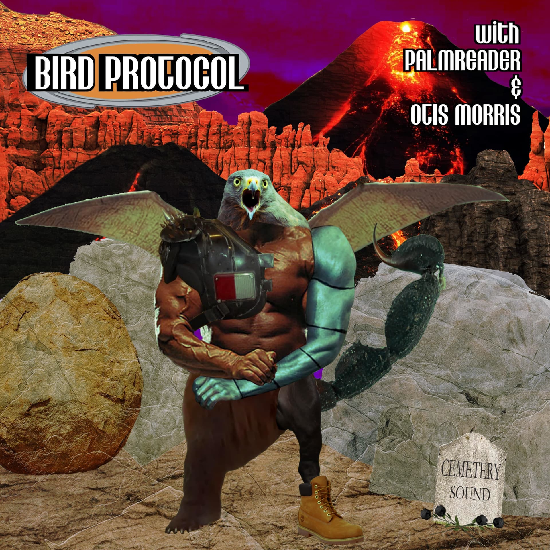 BIRD PROTOCOL - Podcasts