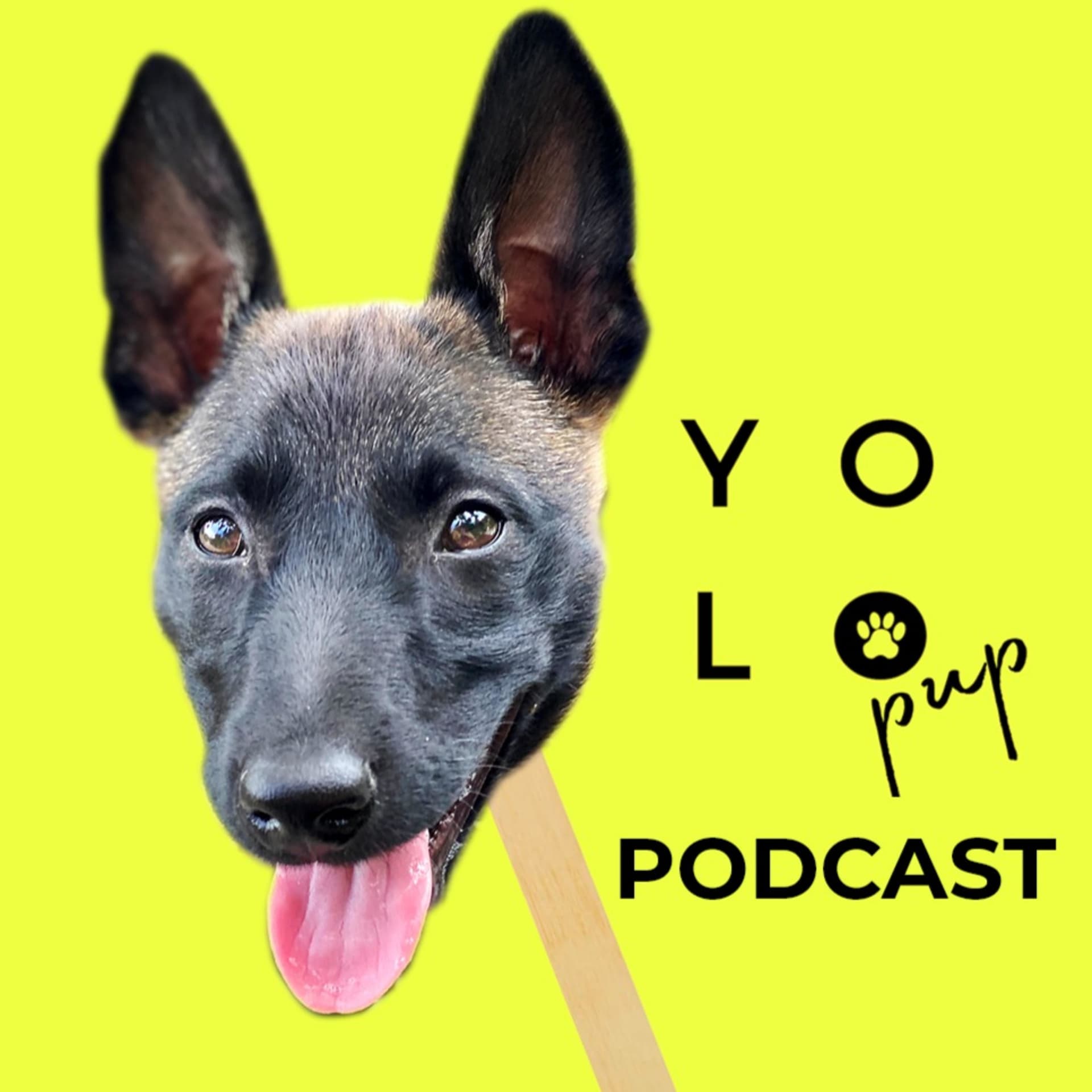 YOLO PUP PODCAST - Podcasts