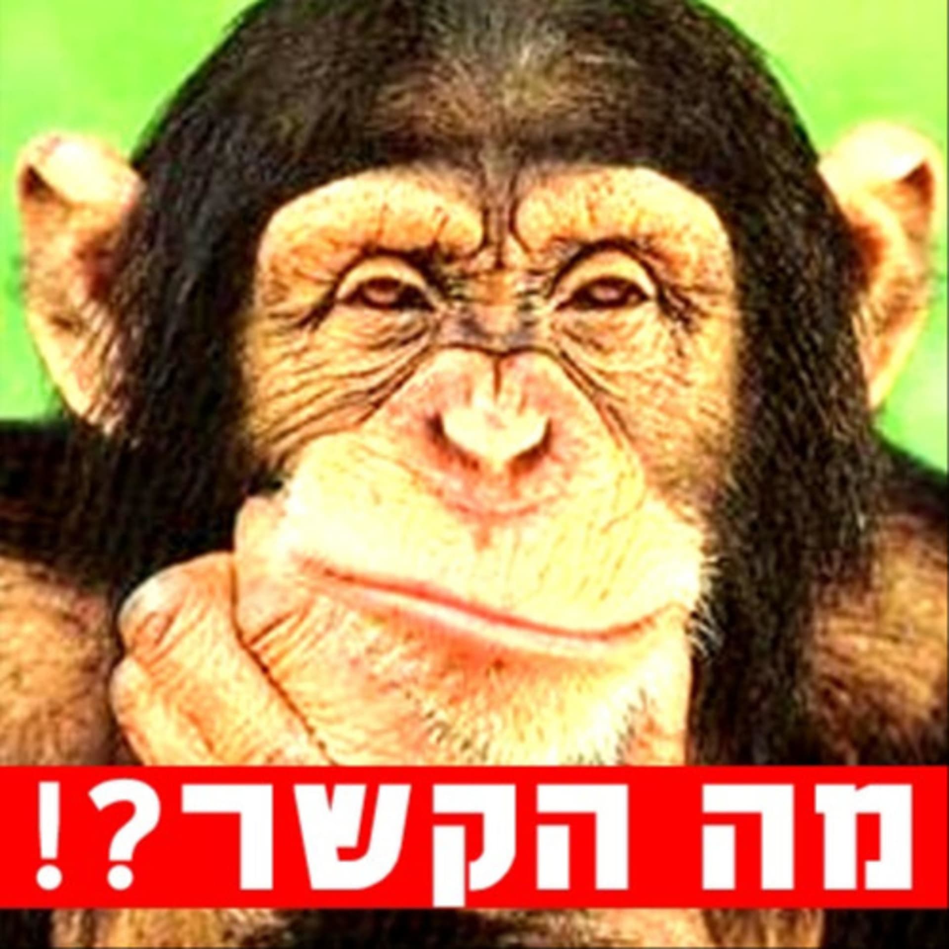 מה הקשר - Podcasts