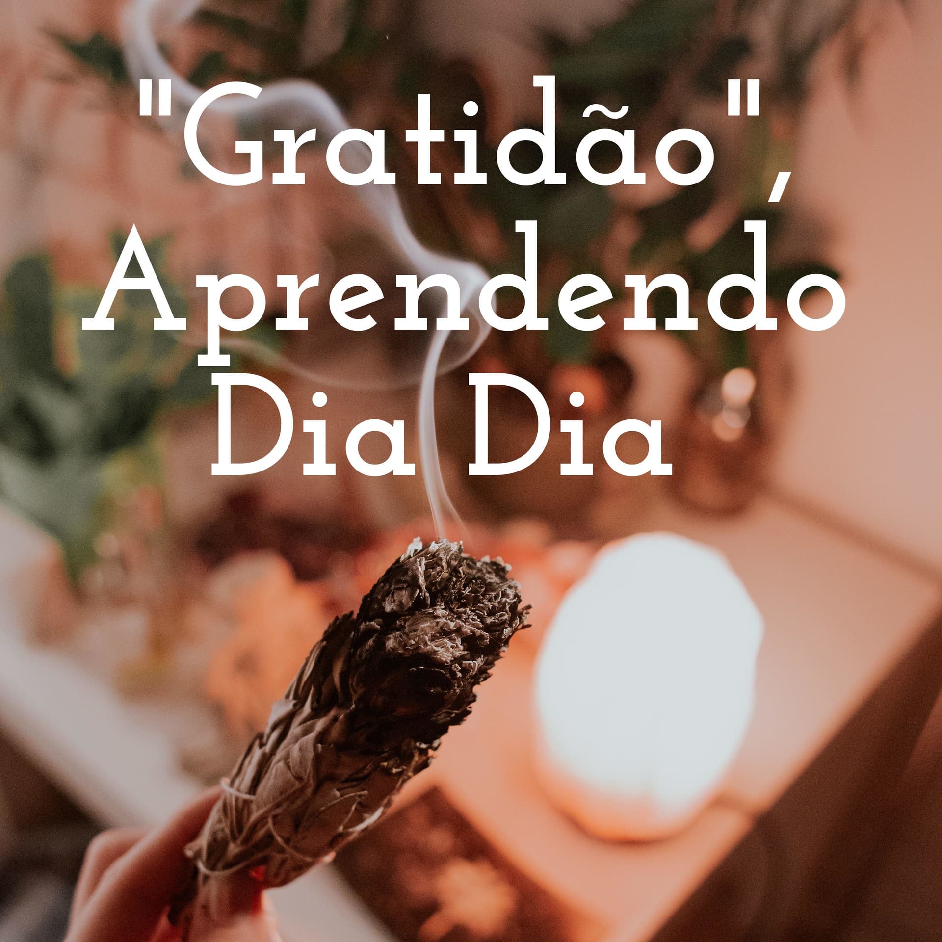 "Gratidão", Aprendendo Dia Dia - Podcasts