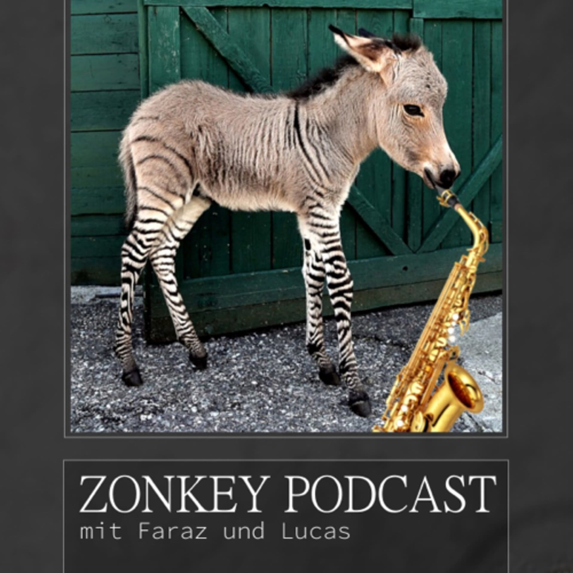 ZonkeyPodcast - Podcasts