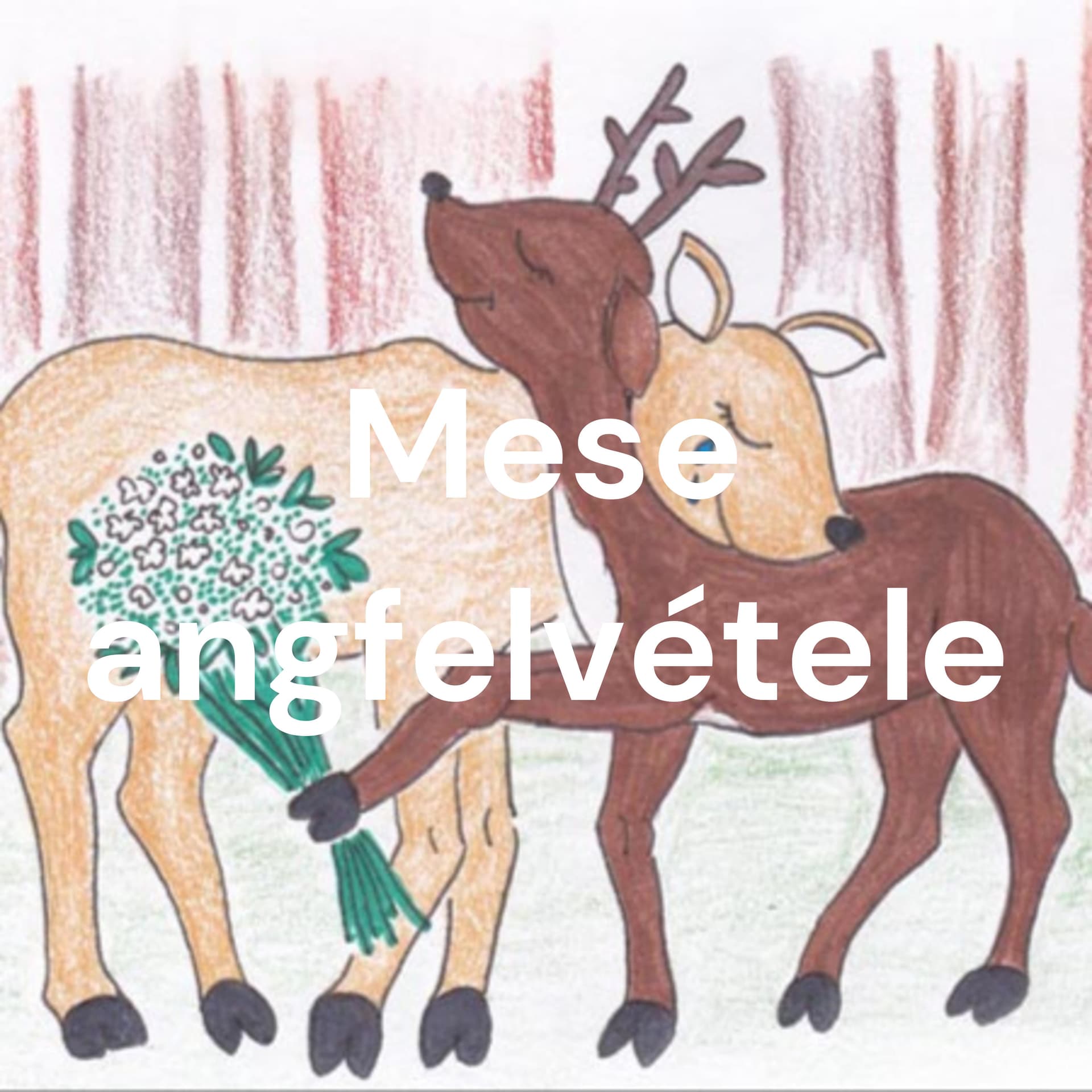 Mese hangfelvételek