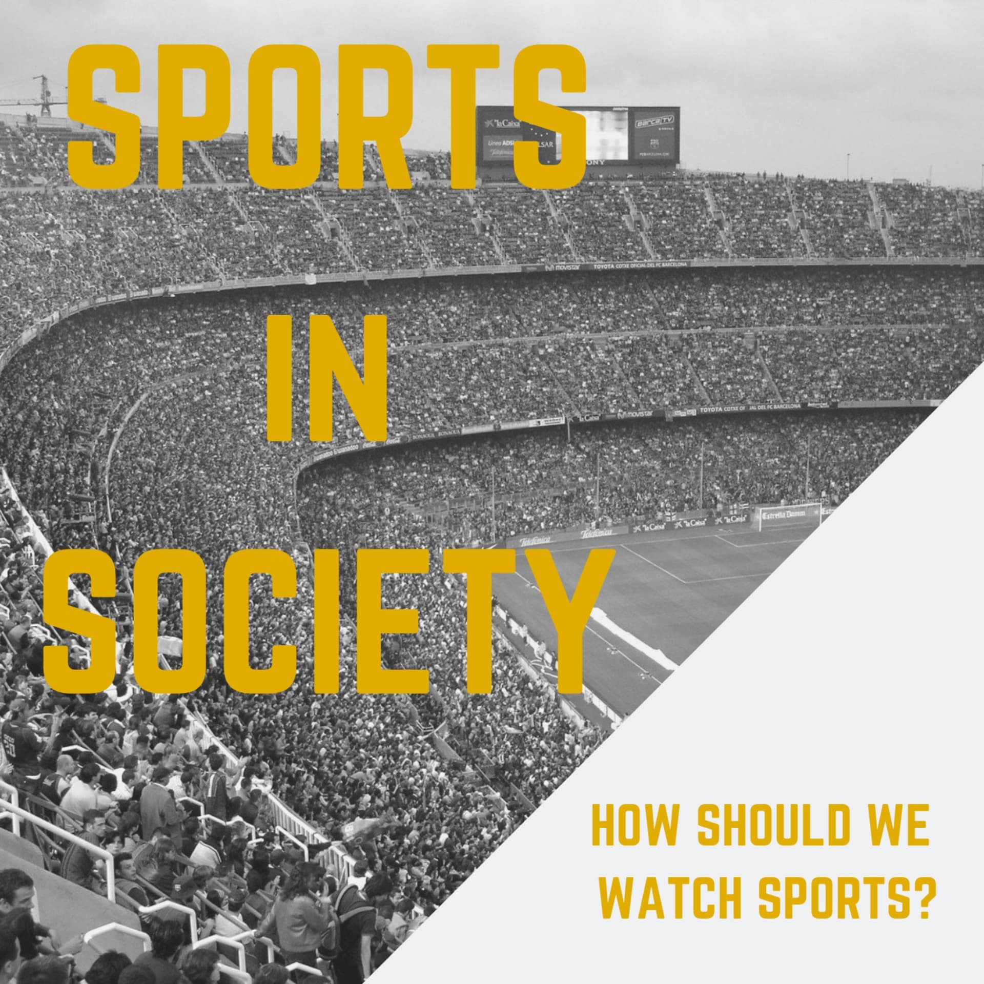 Sports In Society - Podcasts