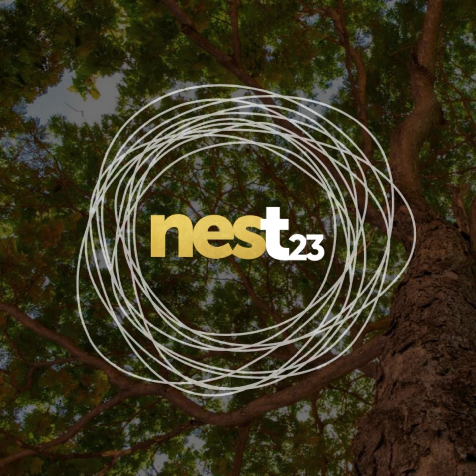 Nest 23 - Podcasts
