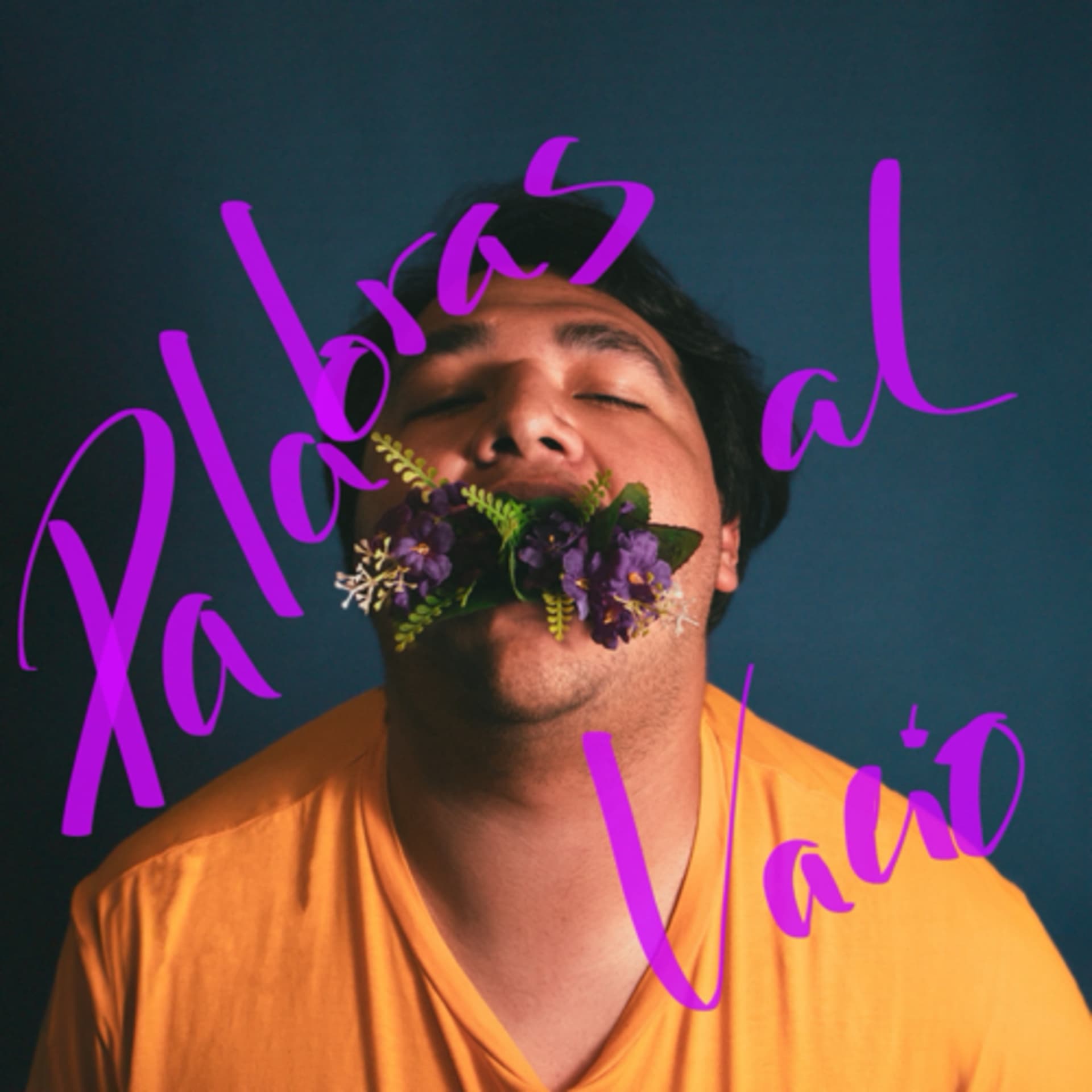 Palabras al vacío - Podcasts