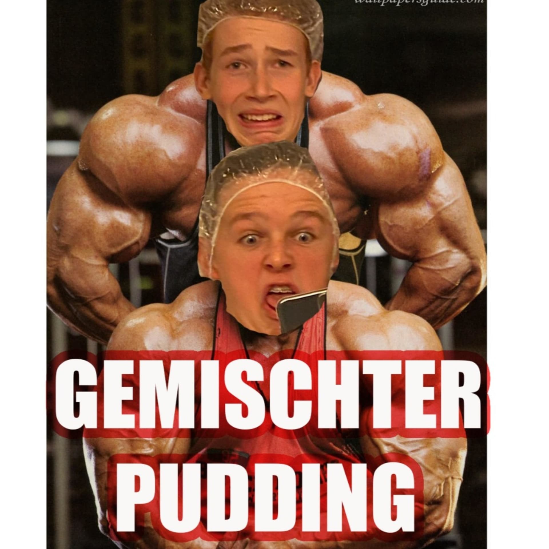 Gemischter Pudding - Podcasts