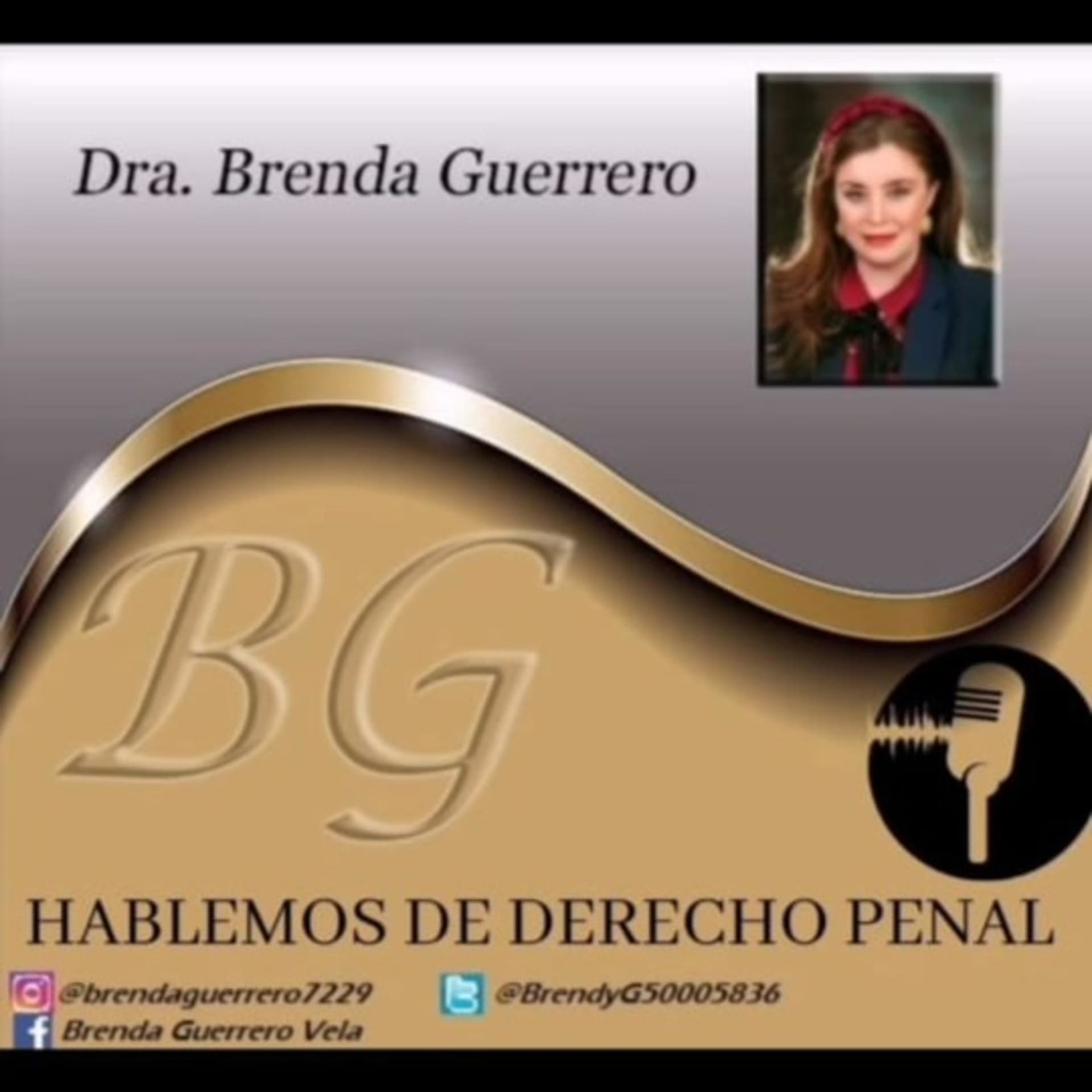 Hablemos de Derecho Penal y Procesal Penal Brenda Guerrero Vela - Podcasts