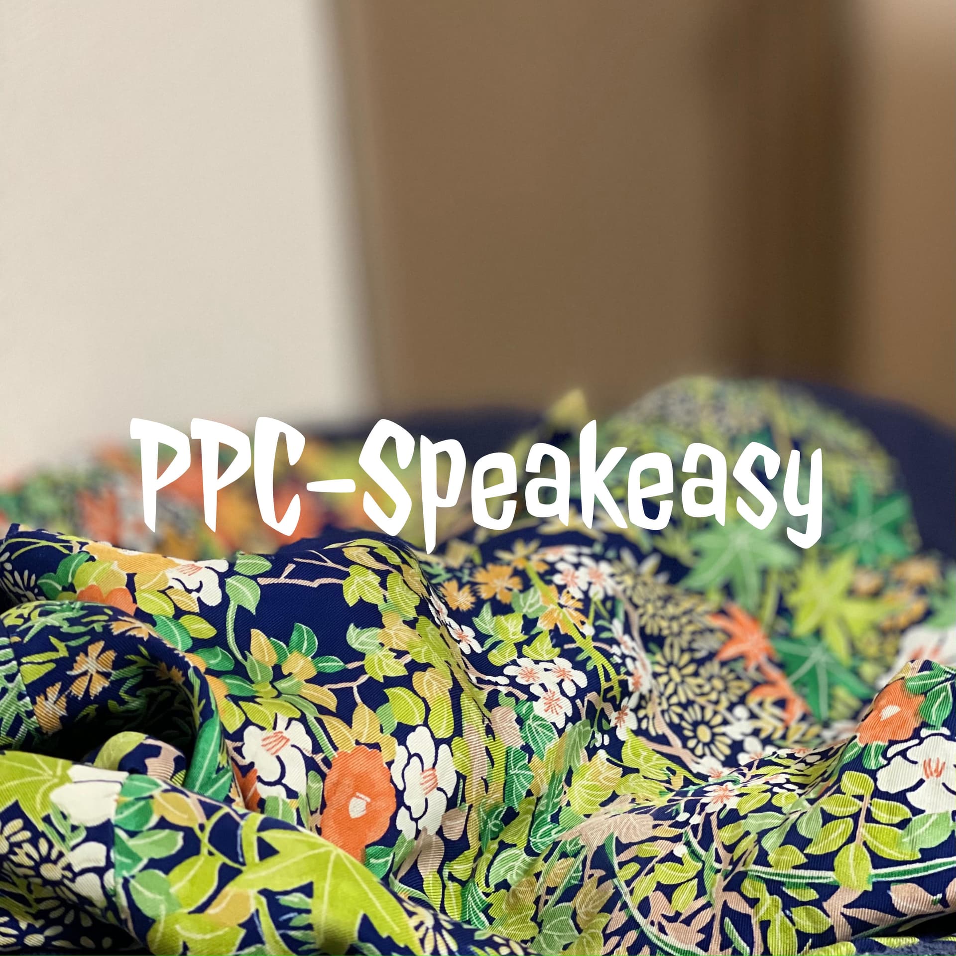 PPC-Speakeasy - Podcasts