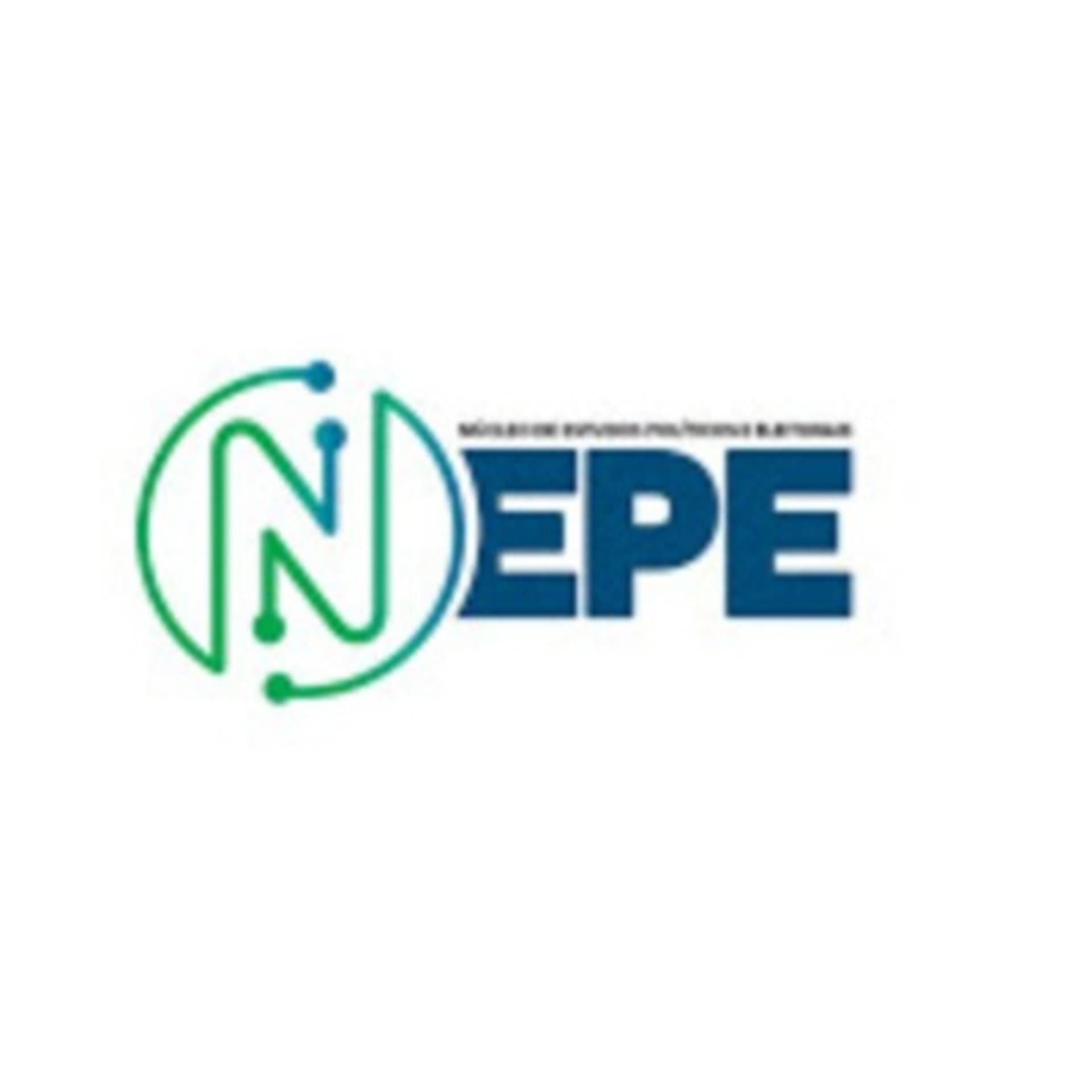 NEPE - Marketing Político - FEN