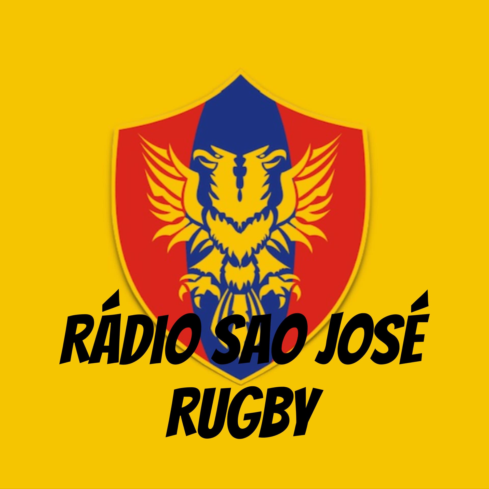 Rádio Sao José Rugby