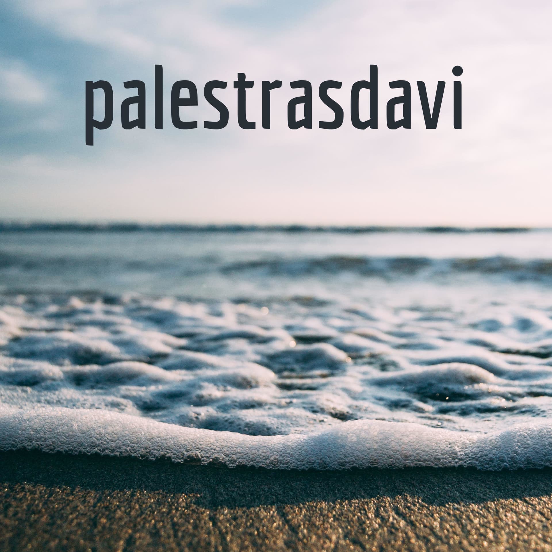 palestrasdavi