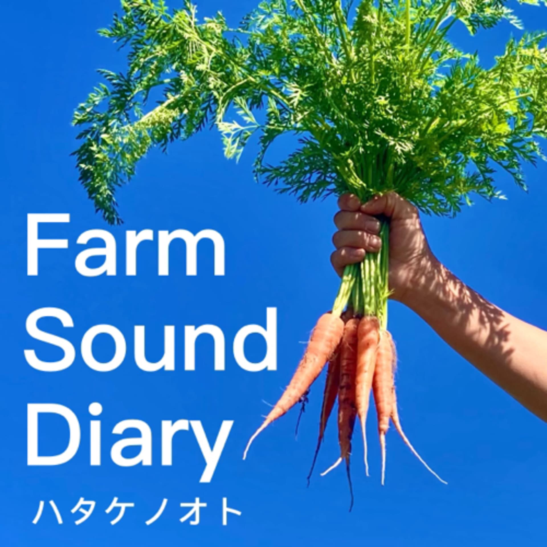 Farm Sound Diary - Podcasts