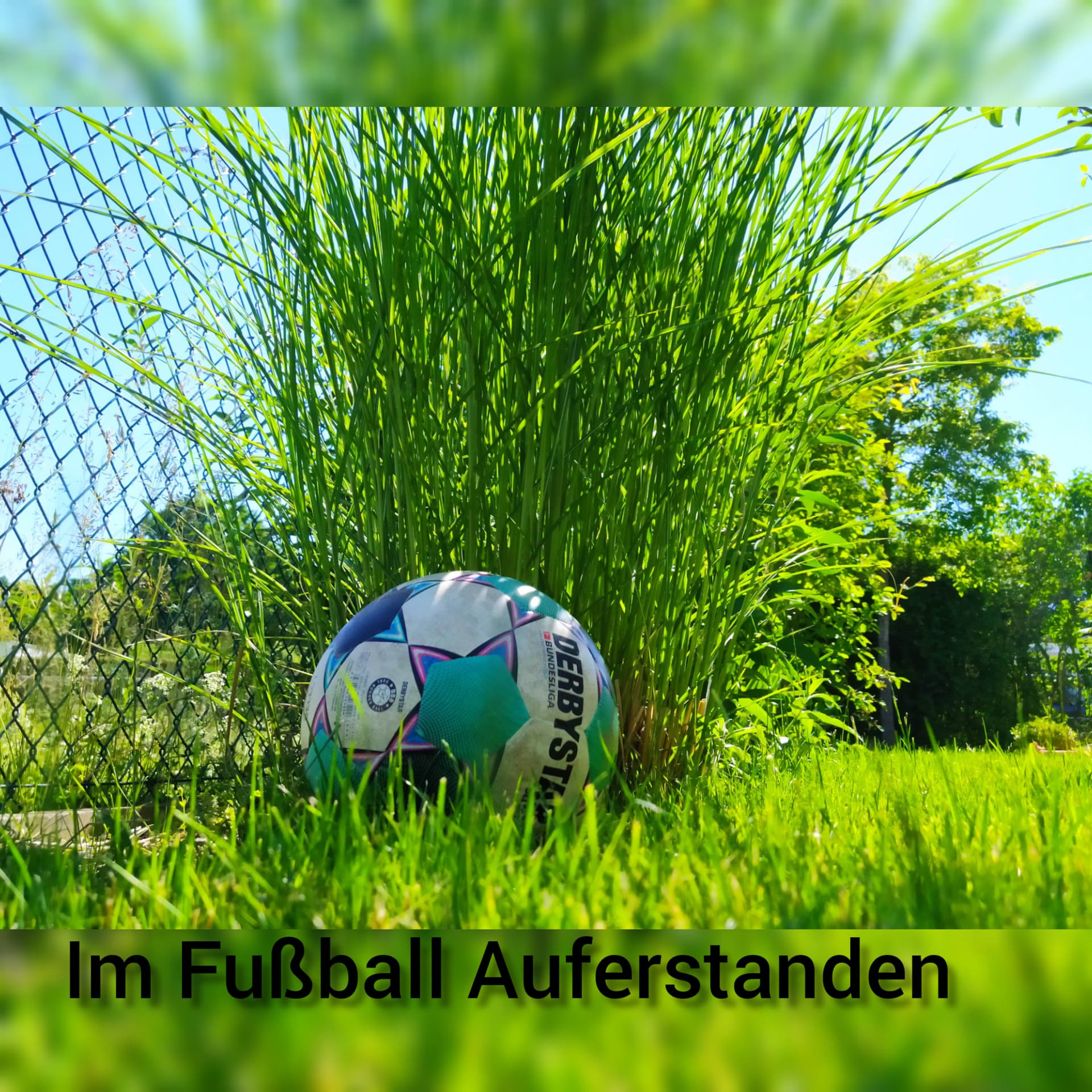 Im Fußball Auferstanden! - Podcasts