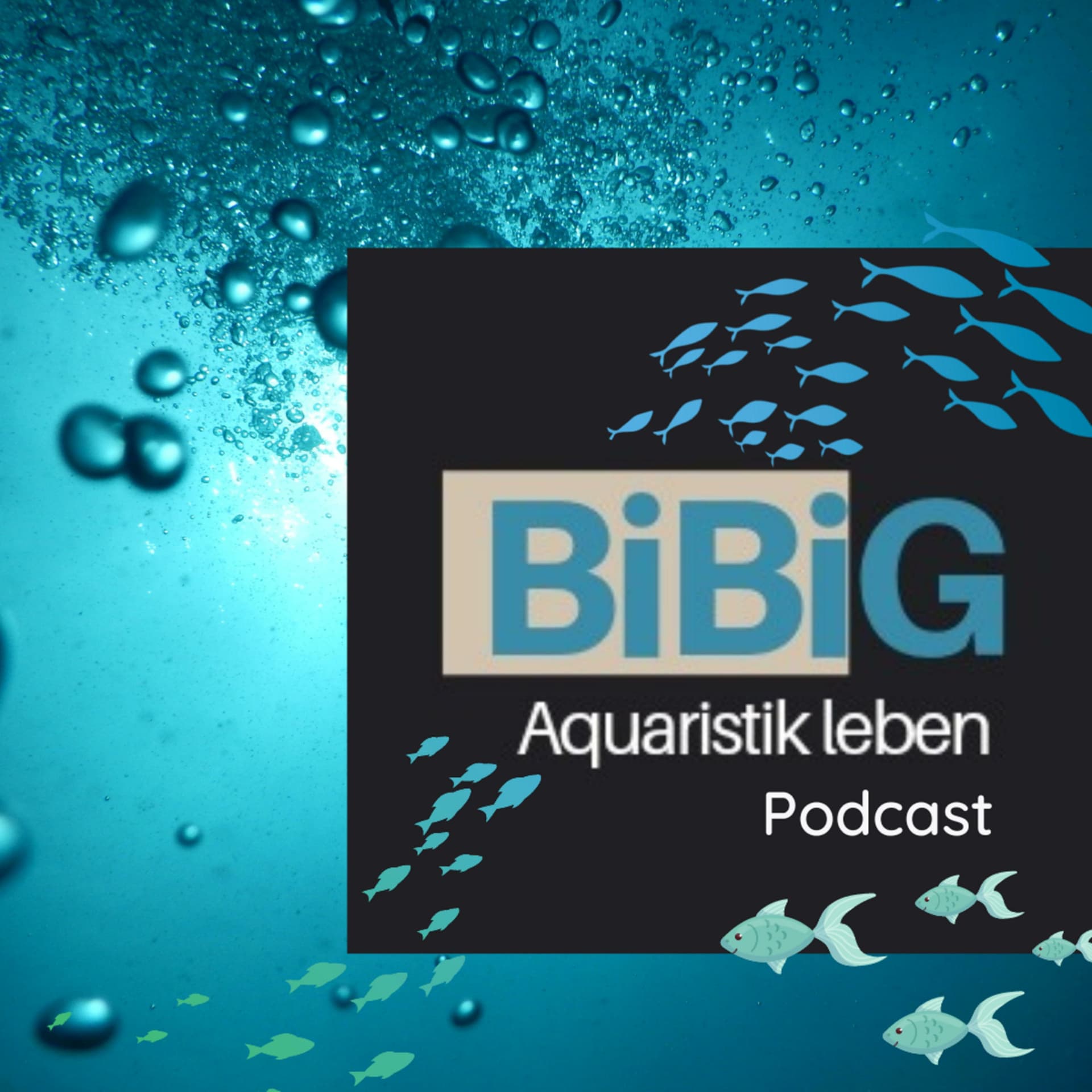 BiBiG - Aquaristik leben - Podcasts