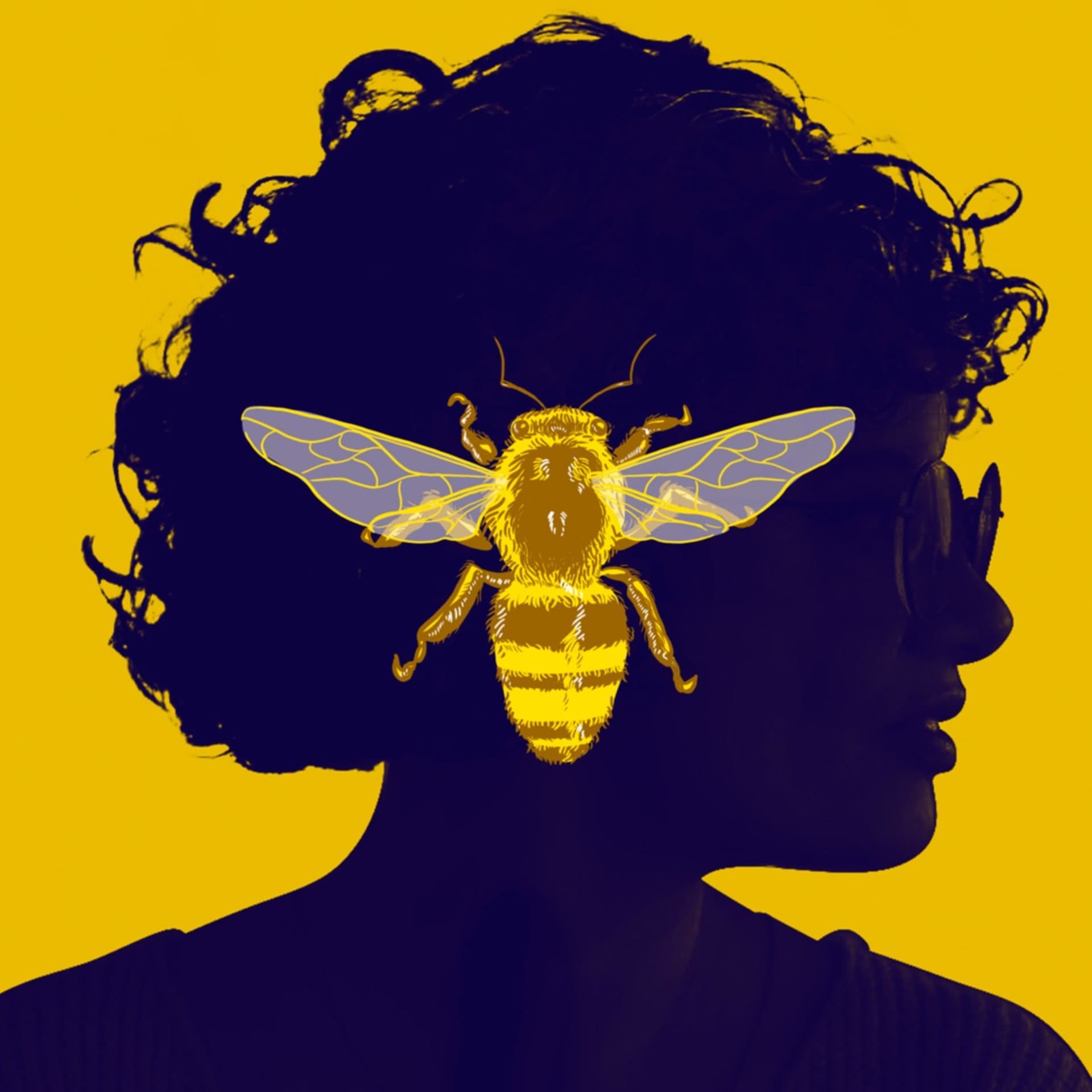 Bobagens Imperdíveis - Podcasts