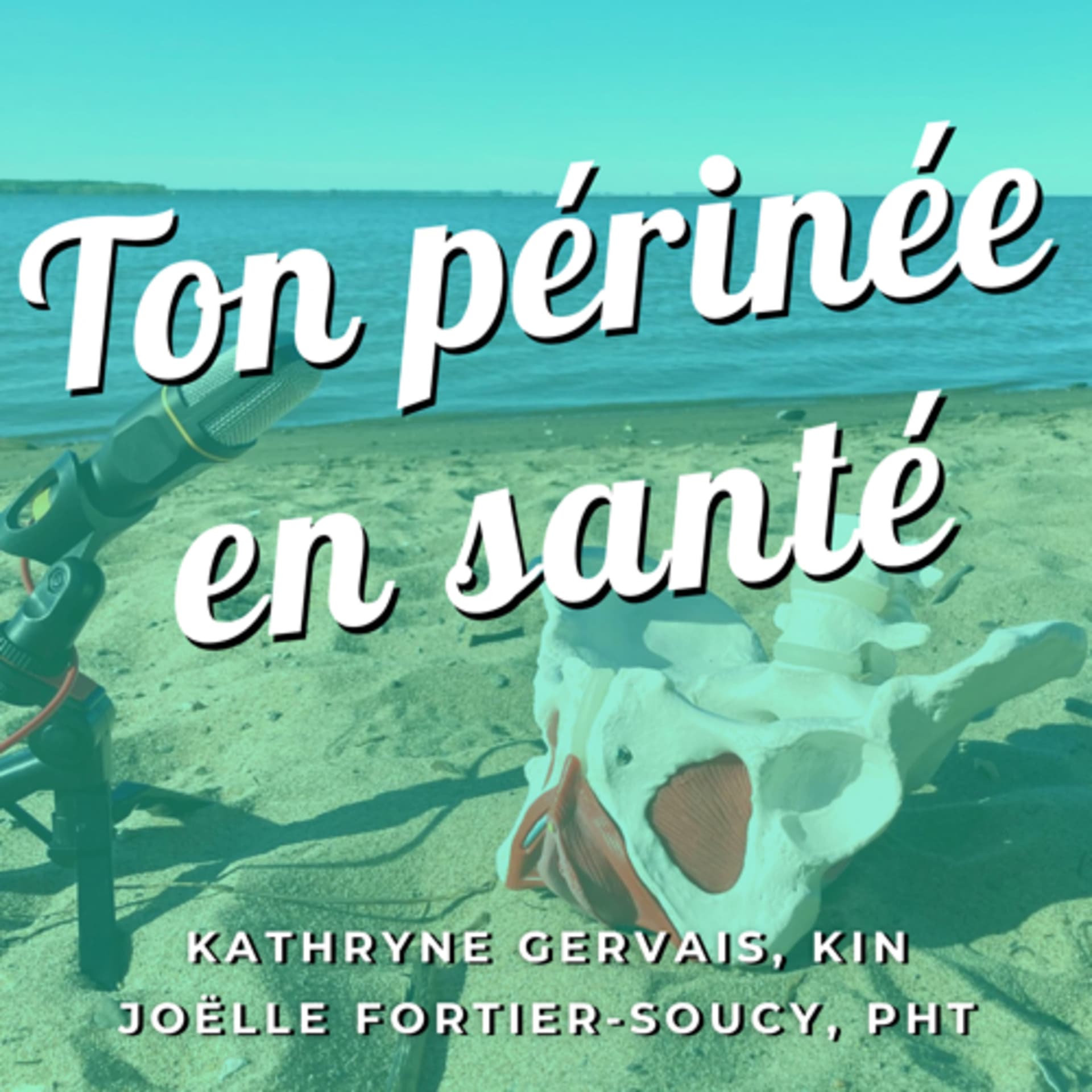 Ton périnée en santé - Podcasts