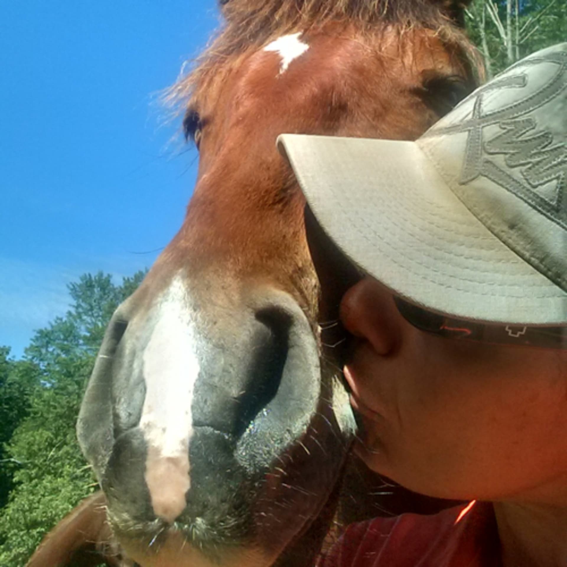 The Farah DeJohnette Whole Horsemanship Podcast - Podcasts