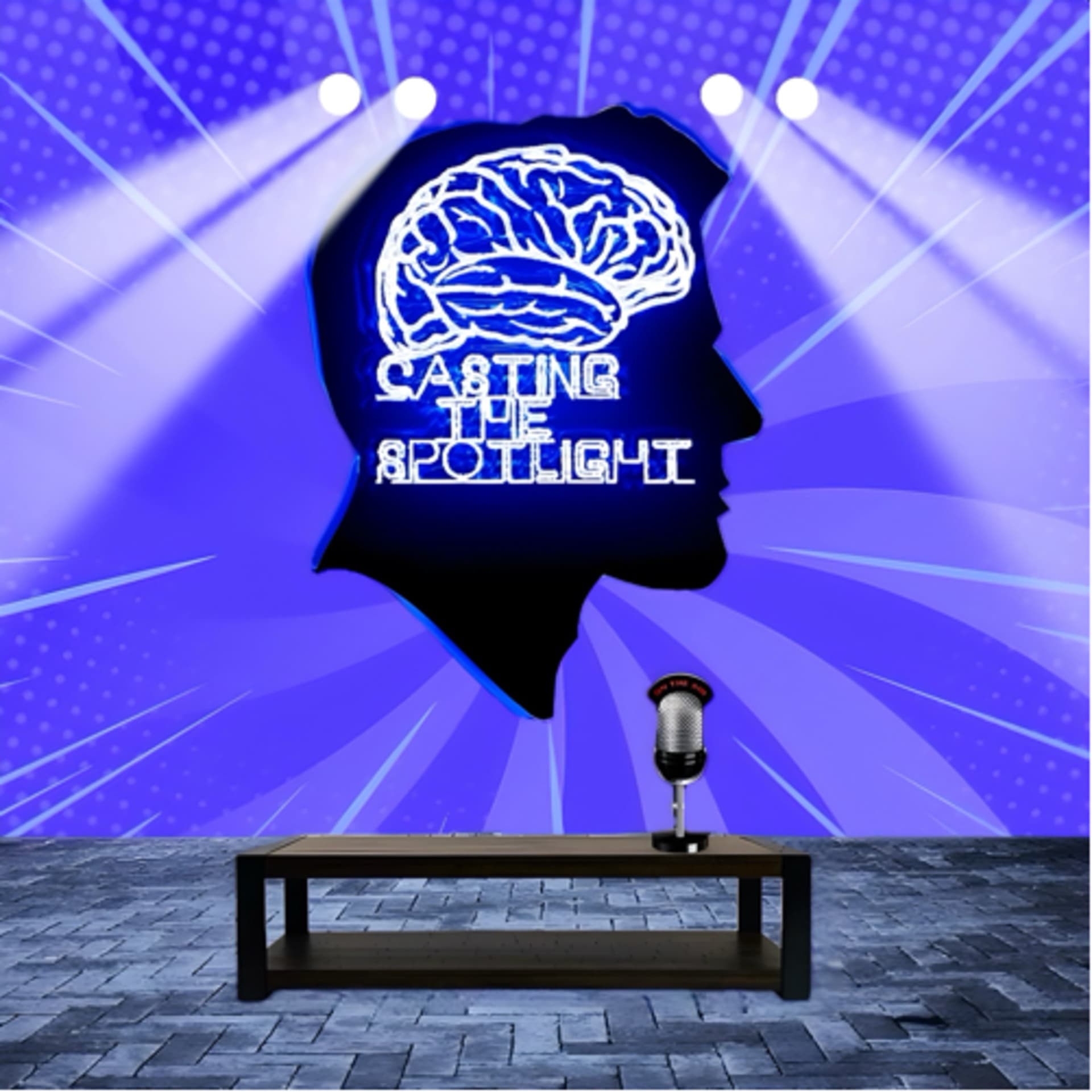 Casting The Spotlight Podcast - Podcasts