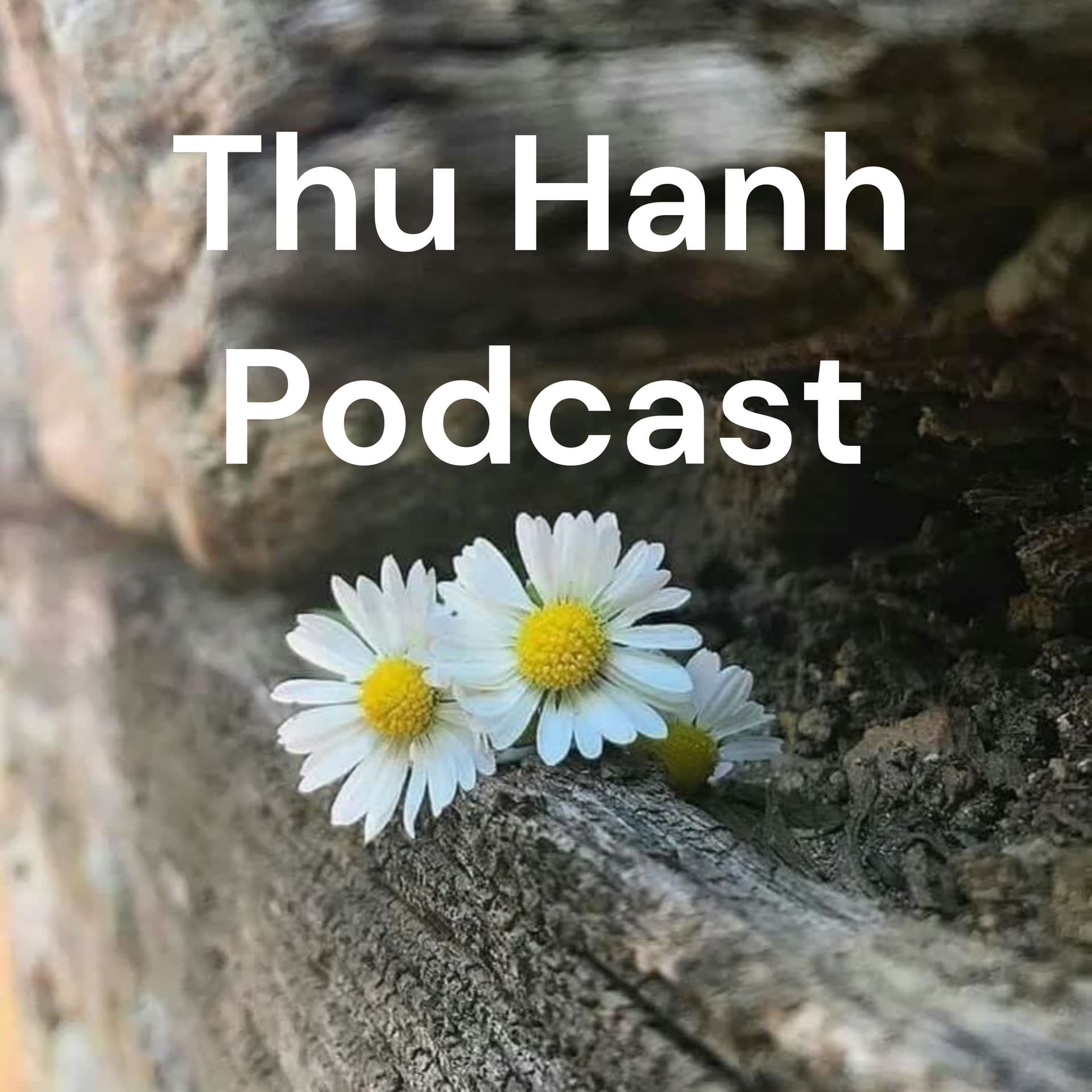 Thu Hanh Podcast - Podcasts