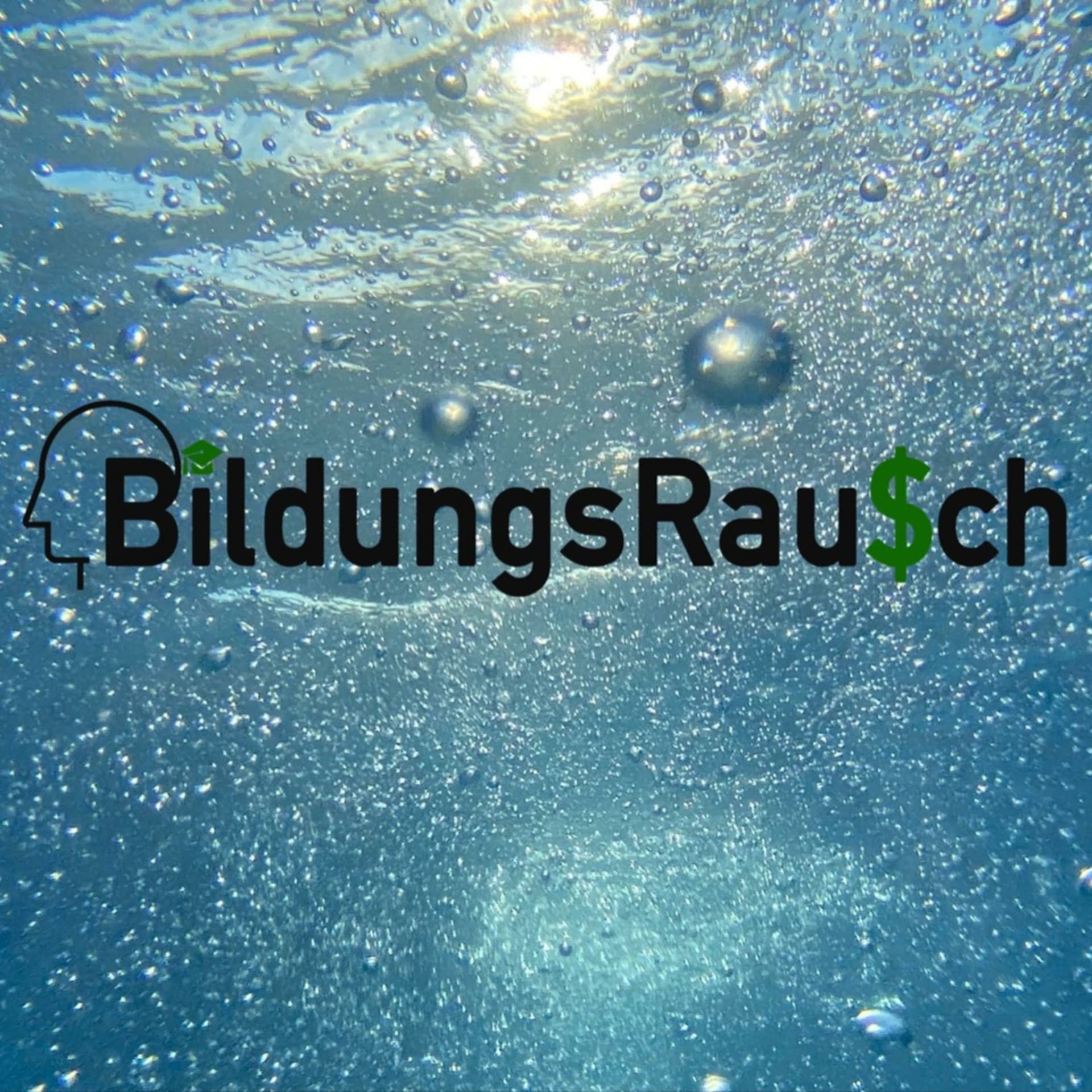 BildungsRausch - Podcasts