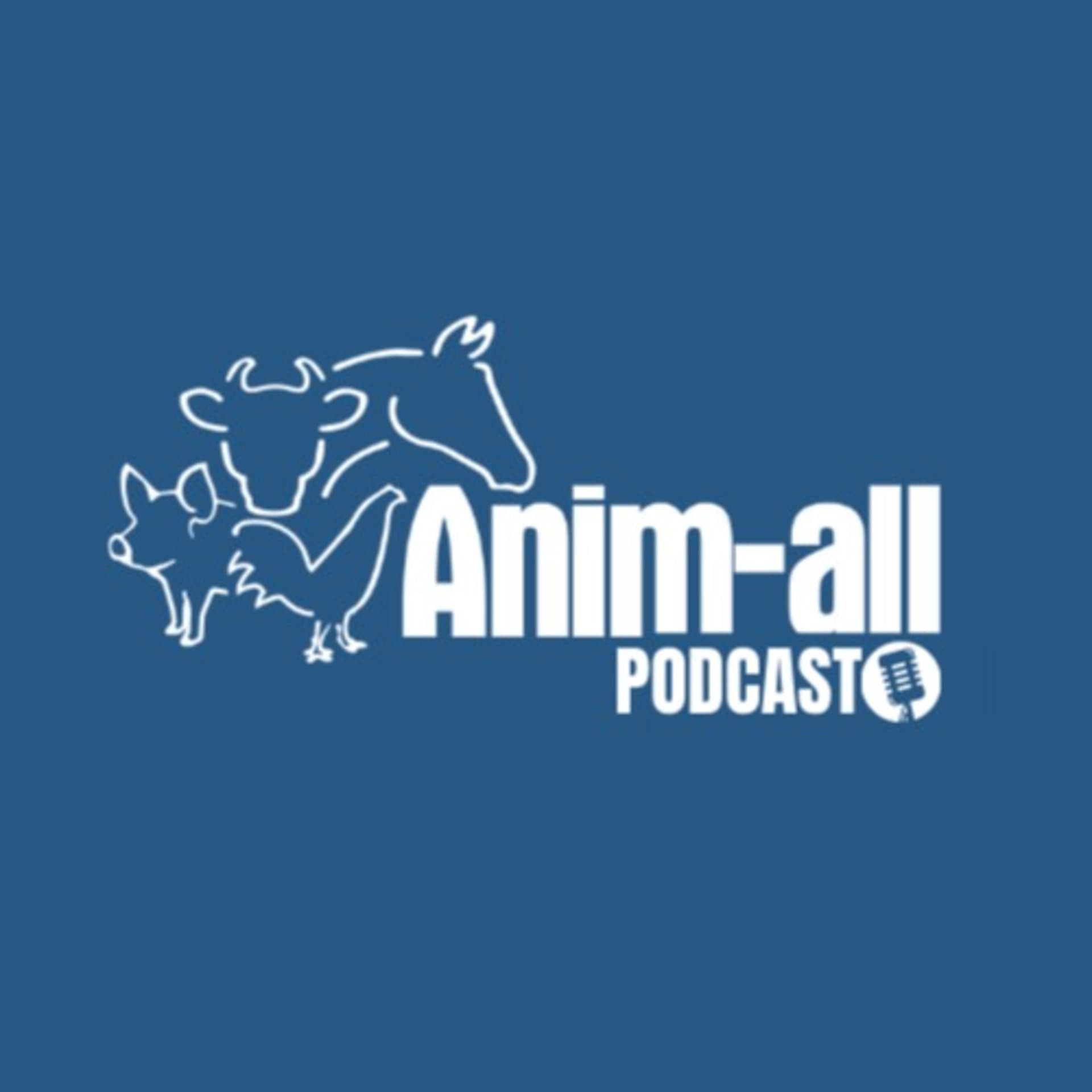 Anim-all technology - Podcasts