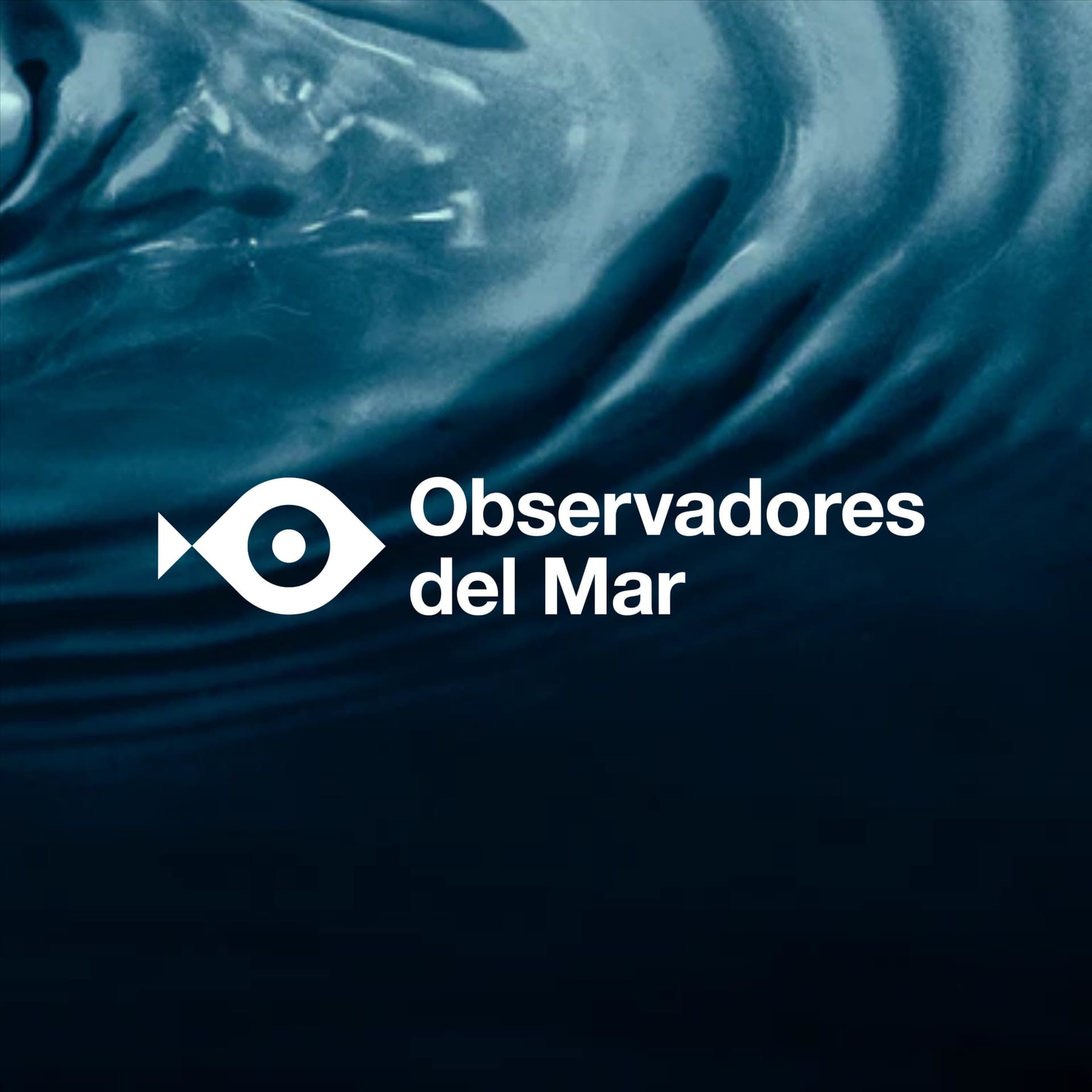 Observadores del Mar - Podcasts
