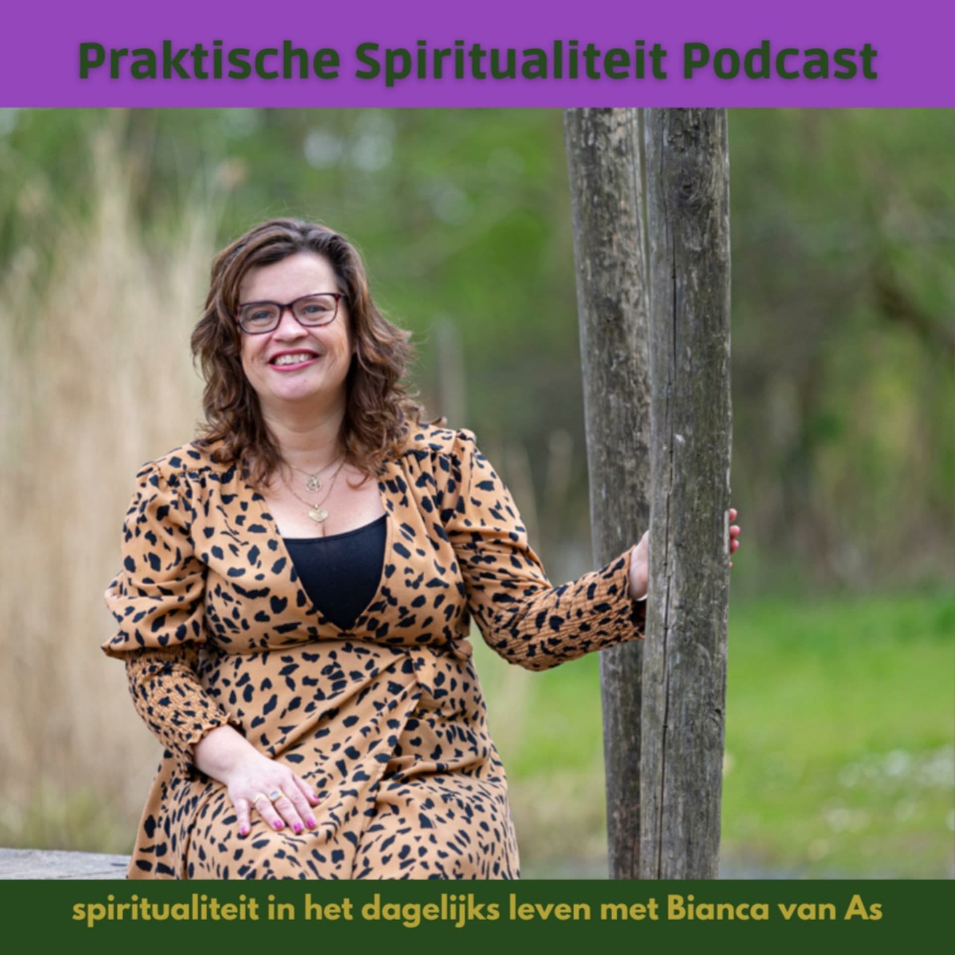Praktische Spiritualiteit Podcast - Podcasts