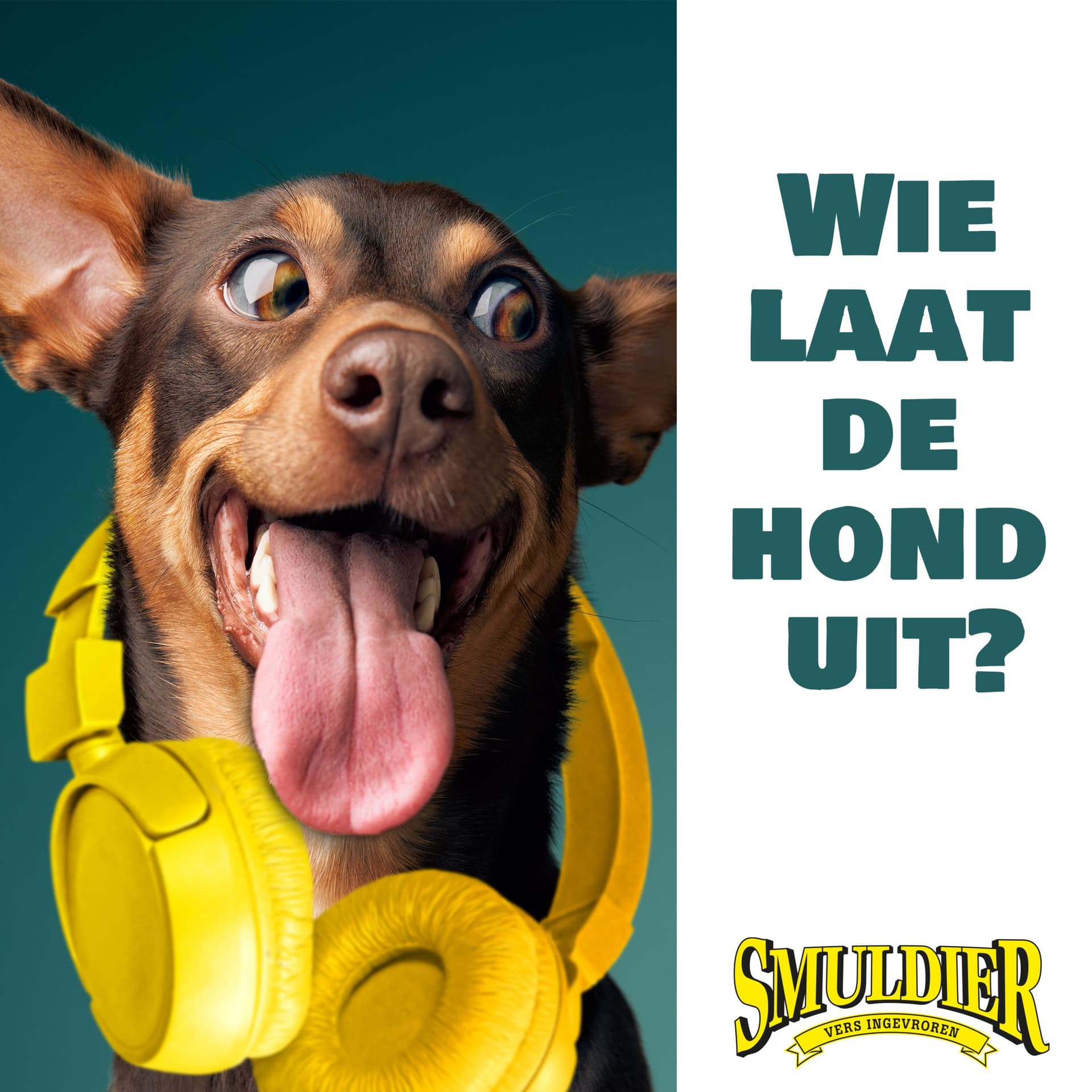 Wie laat de hond uit? - Podcasts