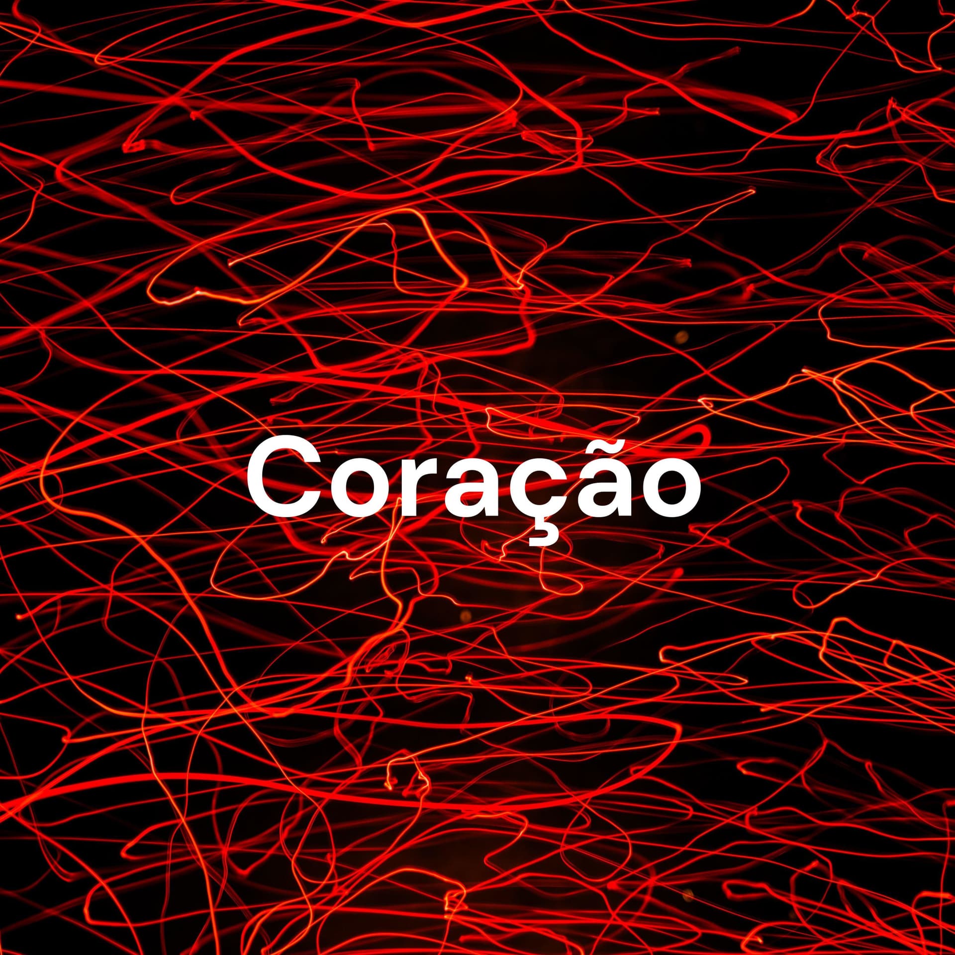 Coração: ensinamentos de um órgão magistral