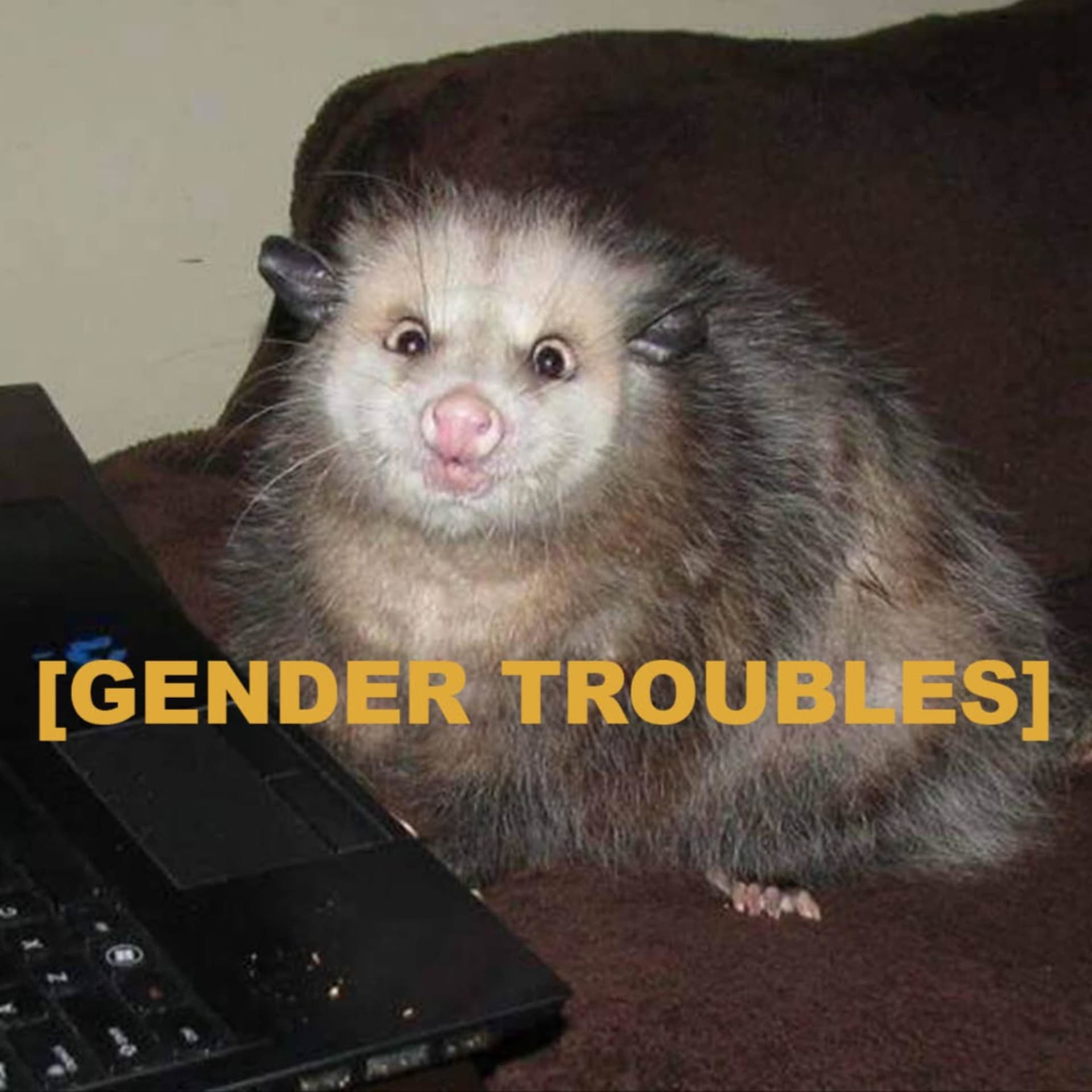 Gender Troubles - Podcasts