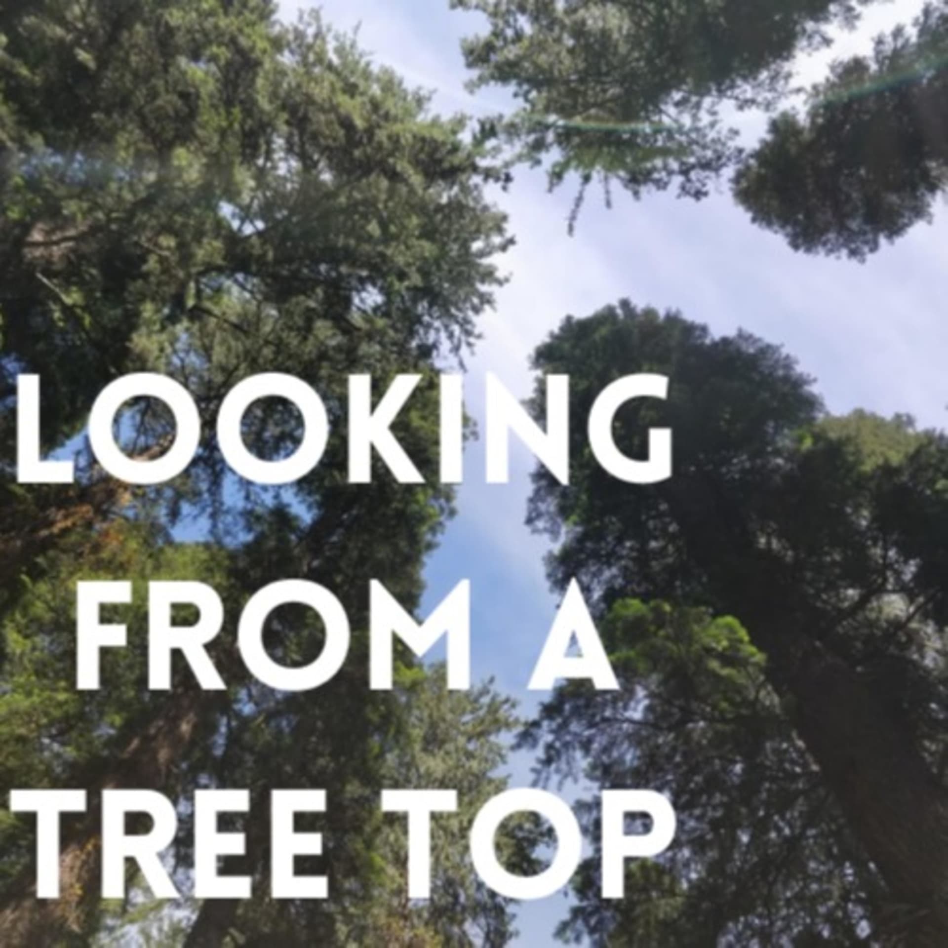 Looking from a Tree Top - Podcasts
