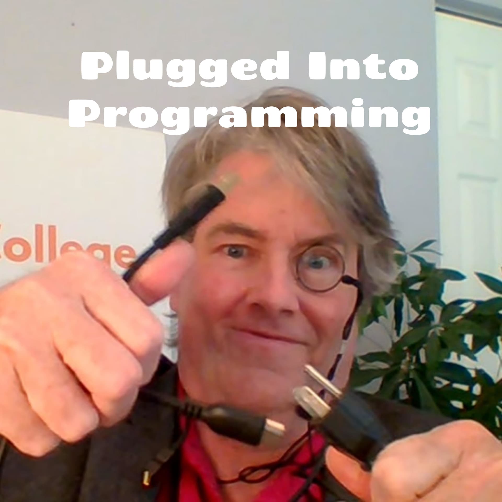Plugged Into Programming - From WordPress Plugins To Micro SaaS - Podcasts