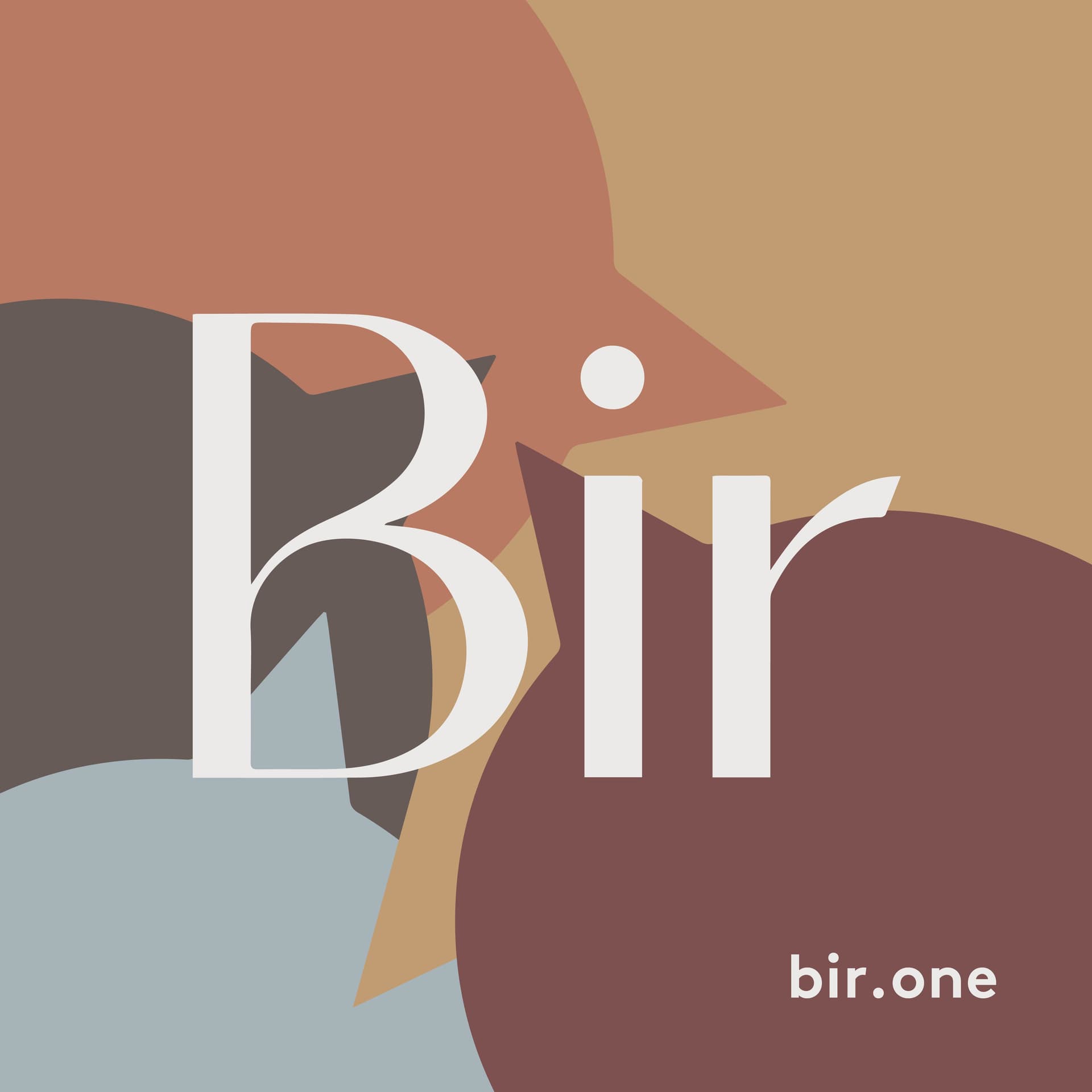 bir.one - Podcasts