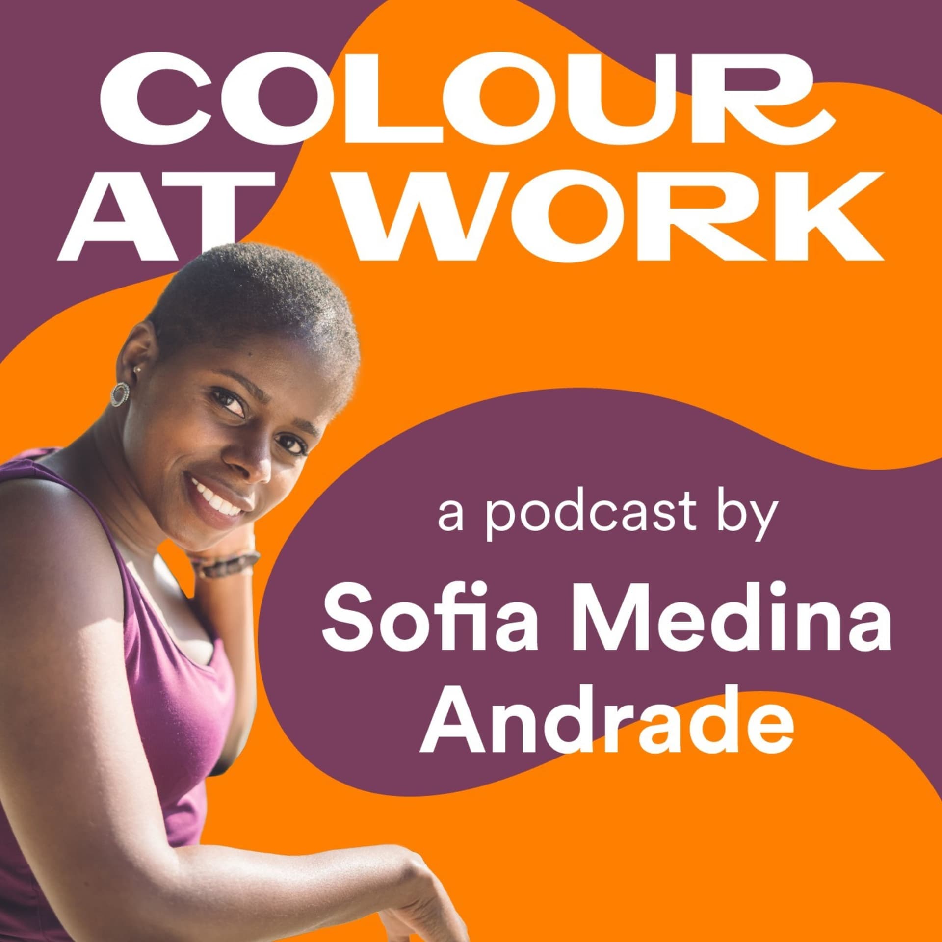 Colour at Work - Podcasts