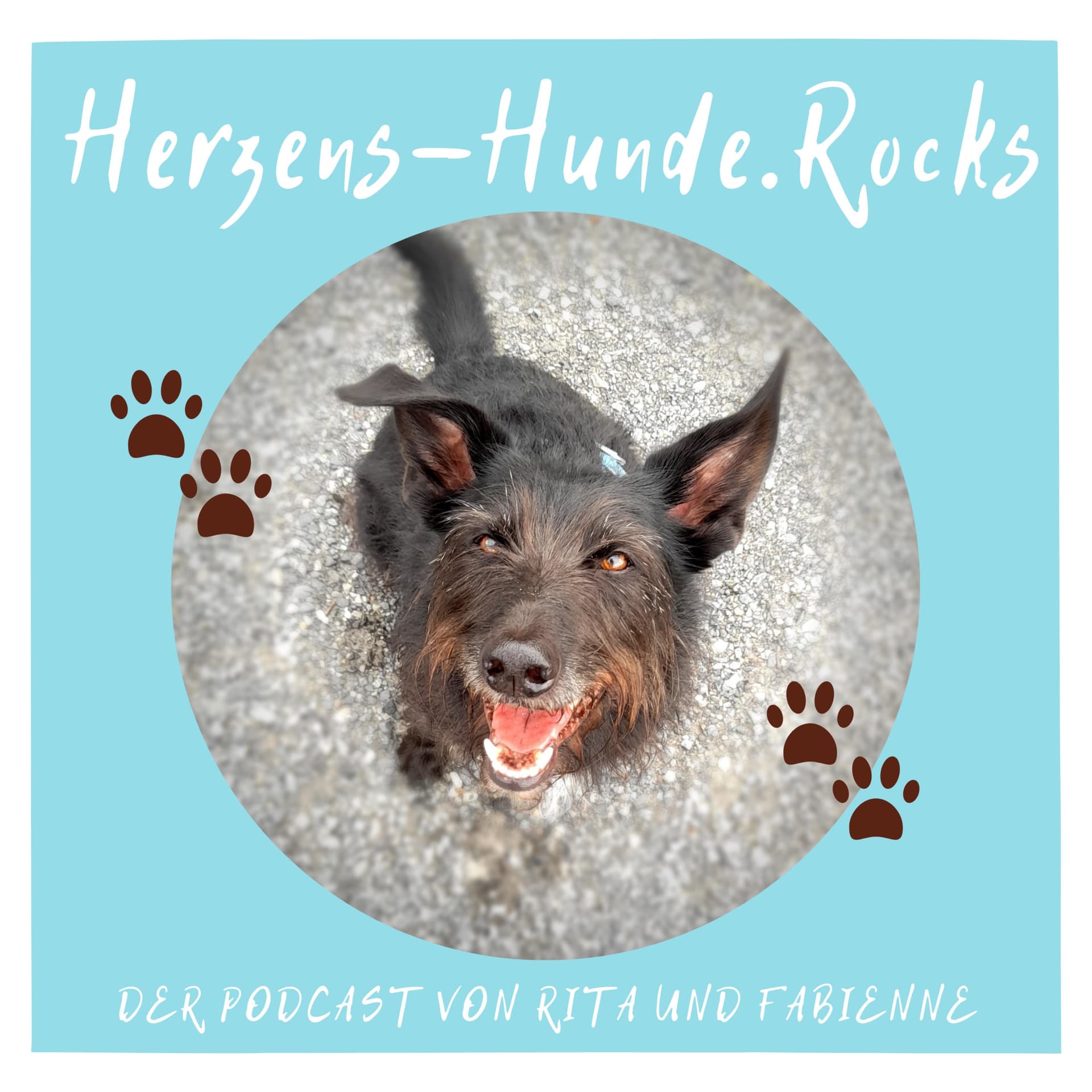 Herzens - Hunde.Rocks - Podcasts