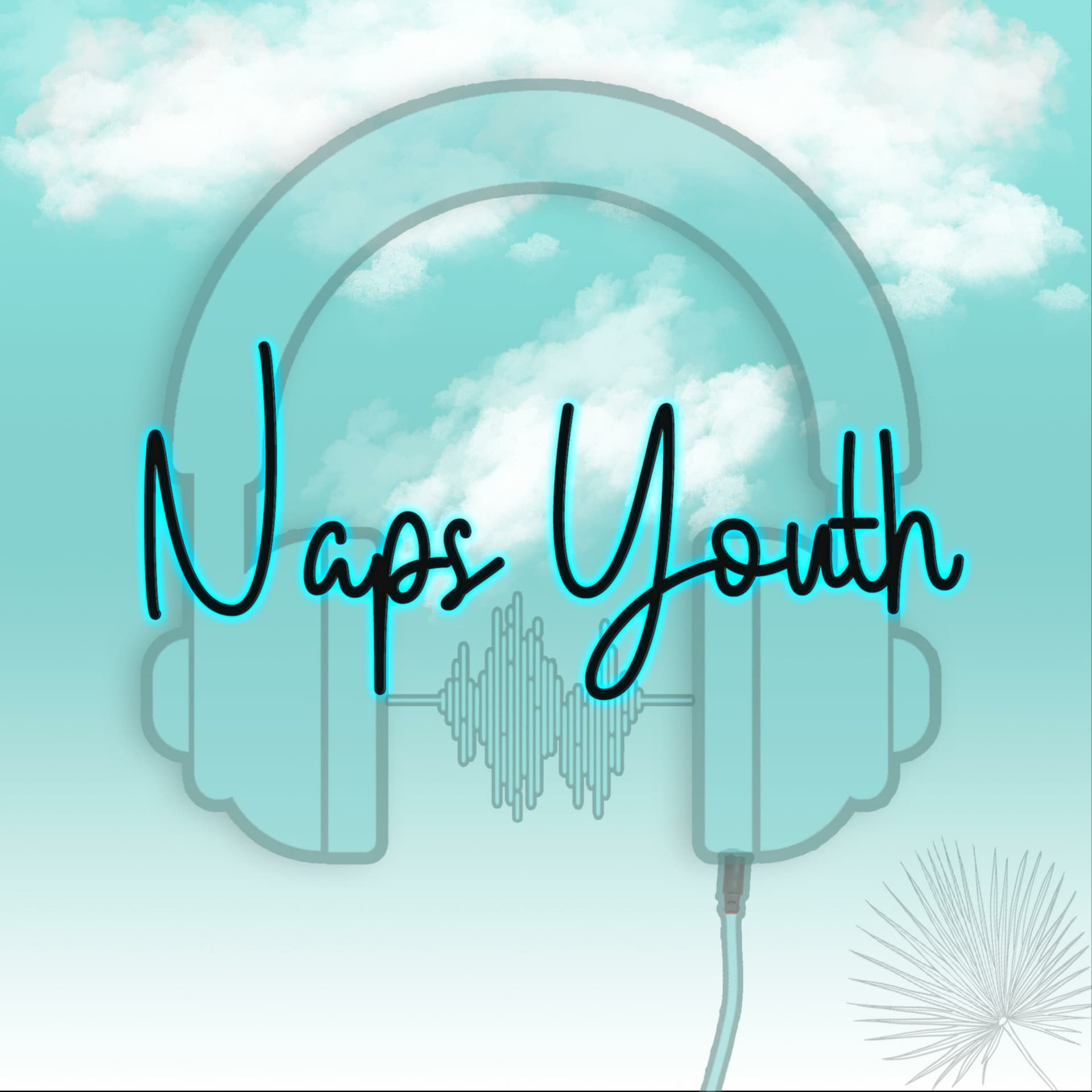 Naps Youth - Naposo's View from You! - Podcasts