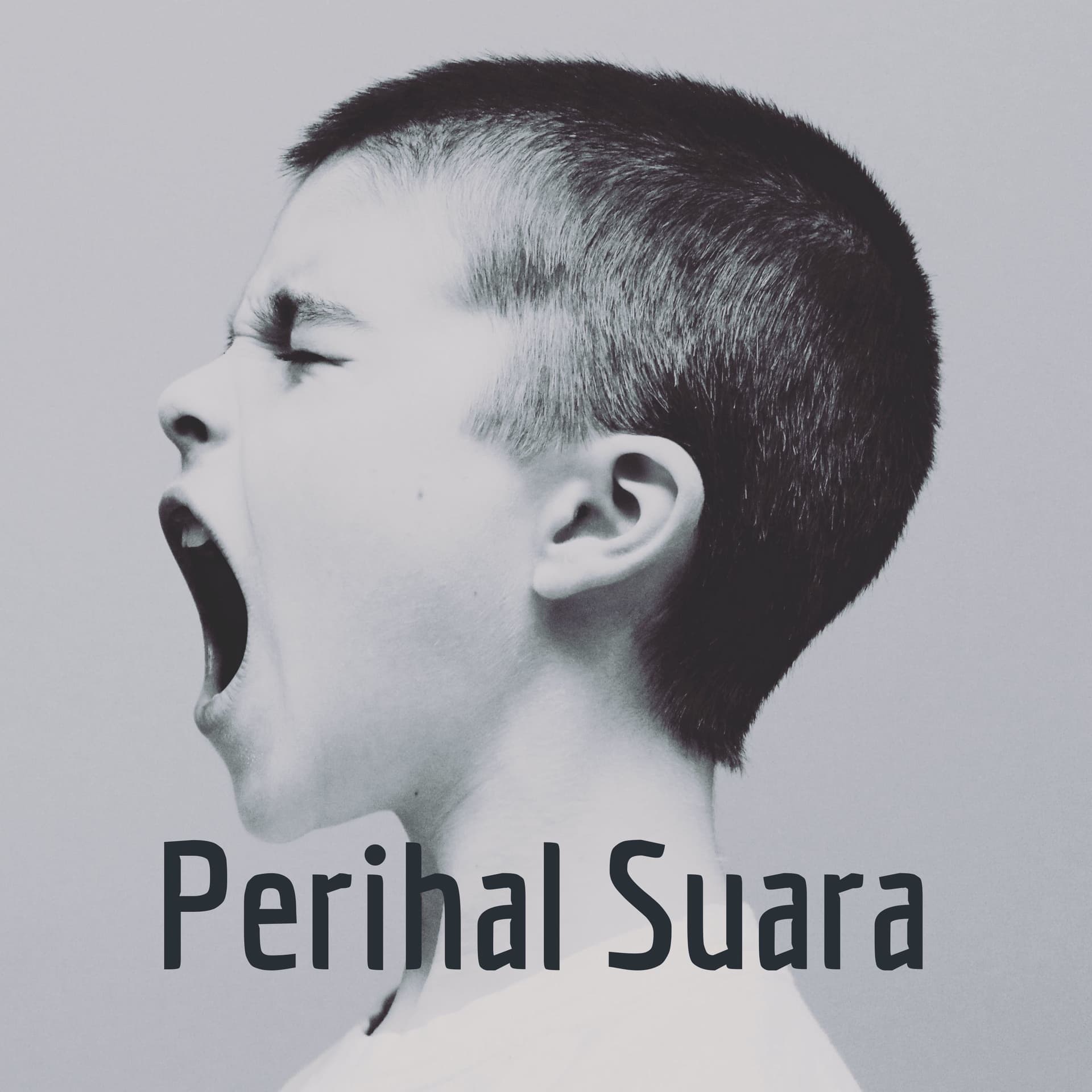 Perihal Suara - Podcasts